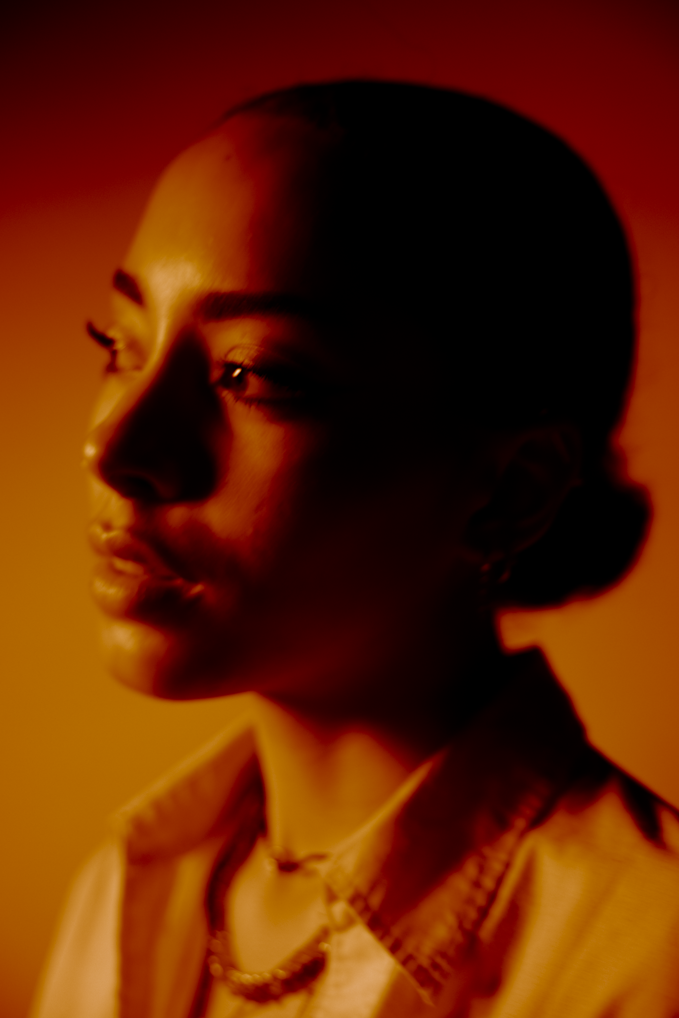 SHOOTS: Bright Is The Light, 7.png