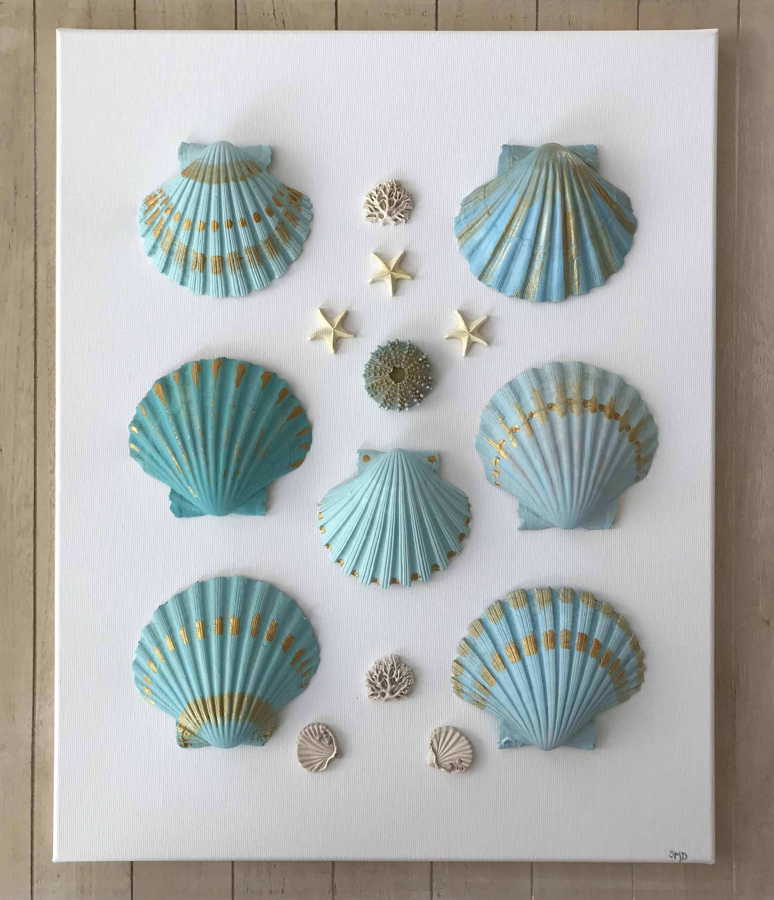 Turquoise Shells