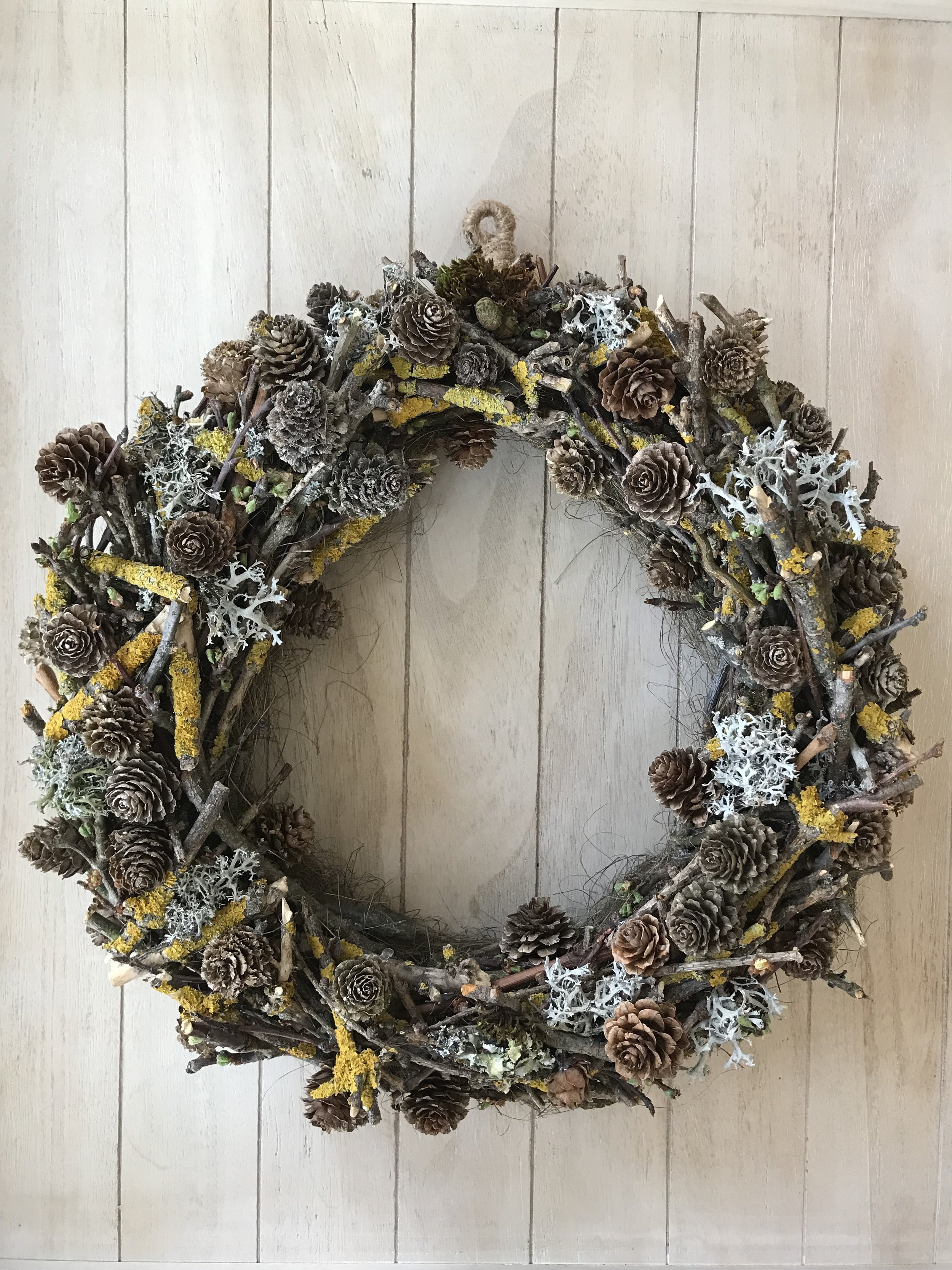 Forest Find