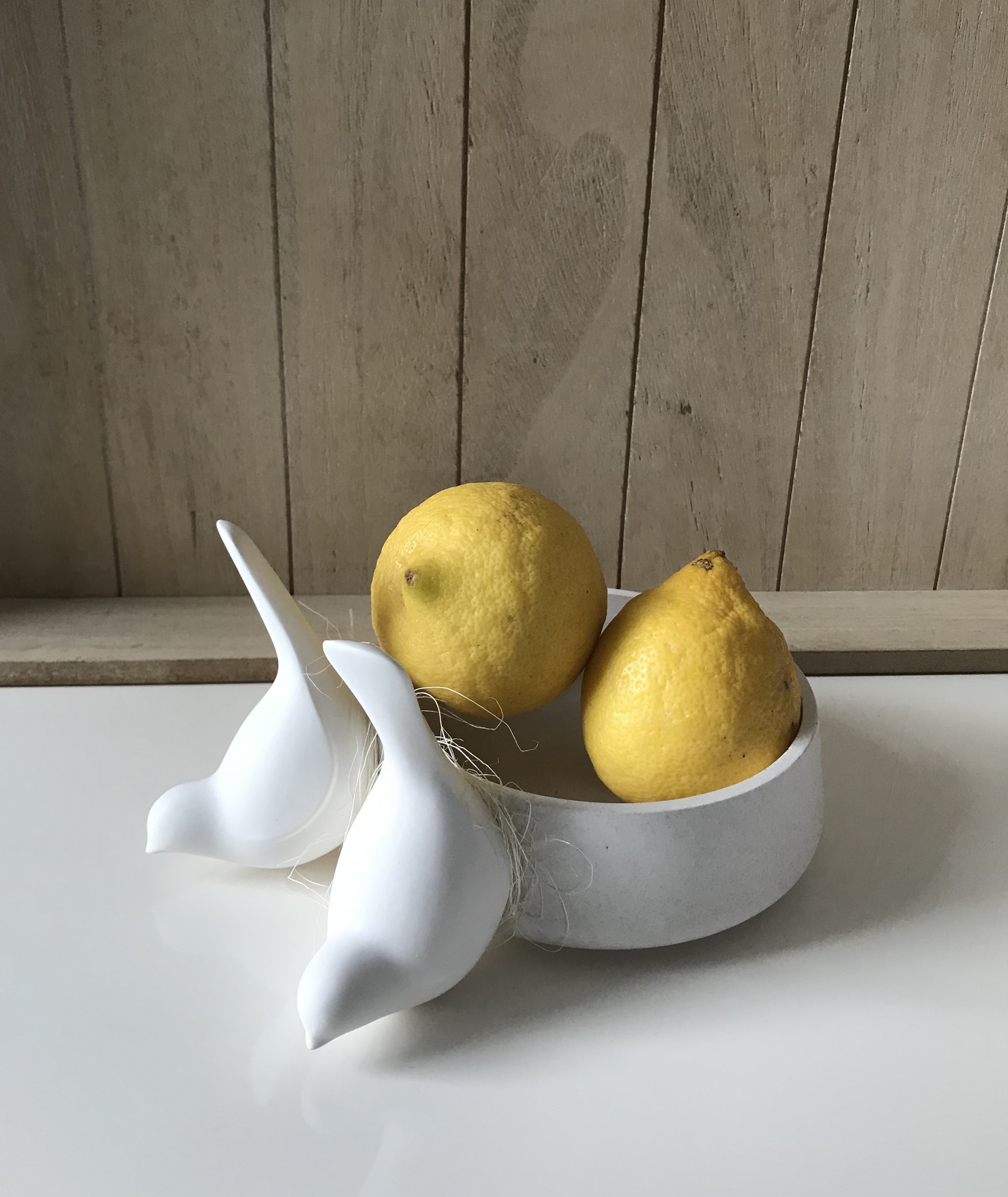 Still Life