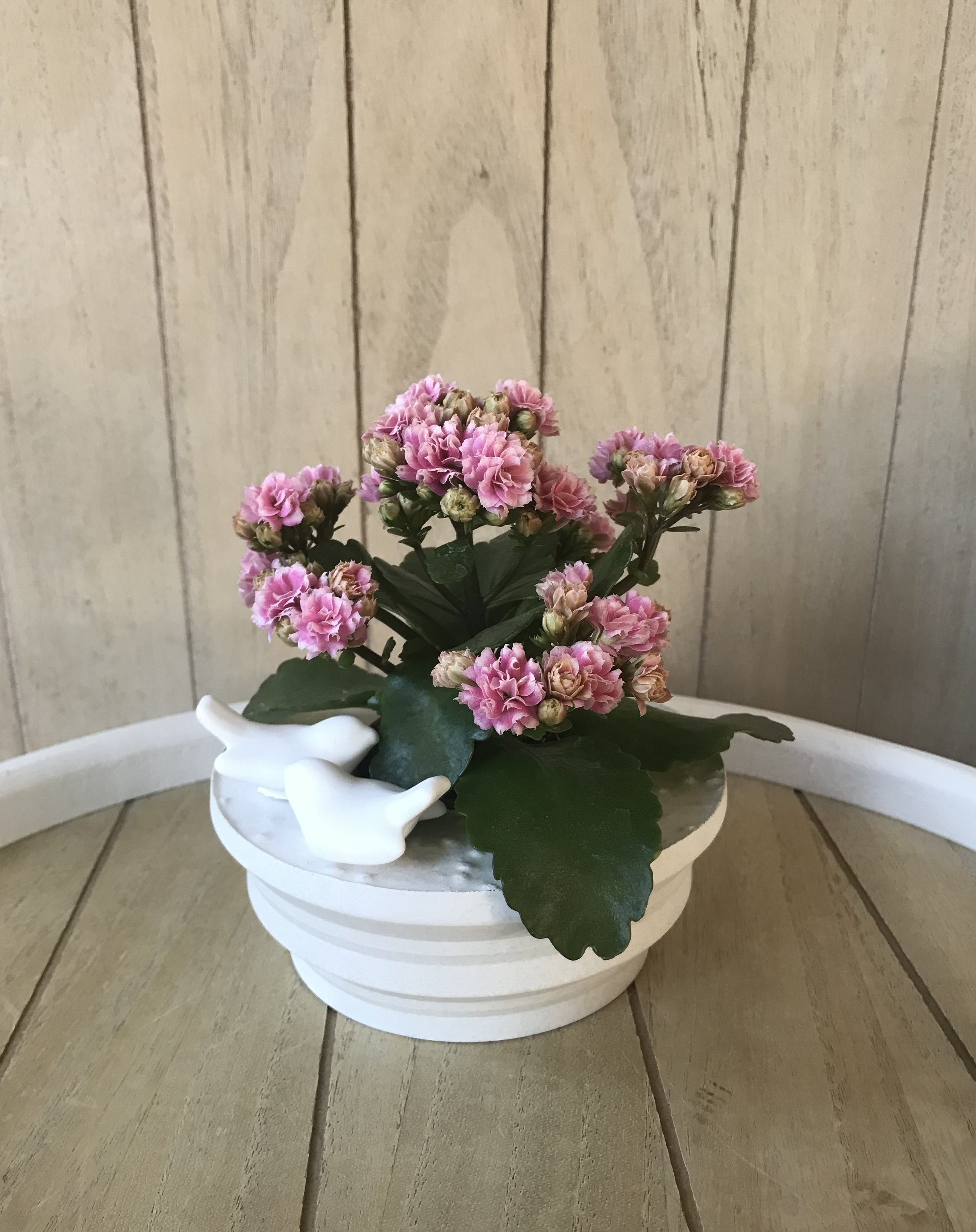 1st Flower Pot