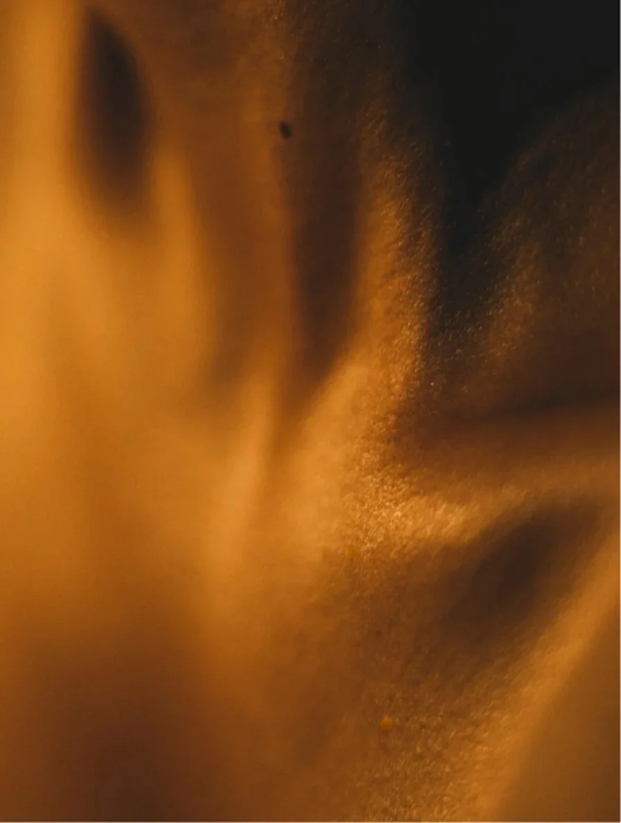 aW1hZ2U9L2dhbGxlcnktcGhvdG9zL0pFYUZNcjdfQkRPSFRWSWRFcjBEUGgwY0RJZHV2VzhhLmpwZyZ3aWR0aD04OTY= copy.jpg