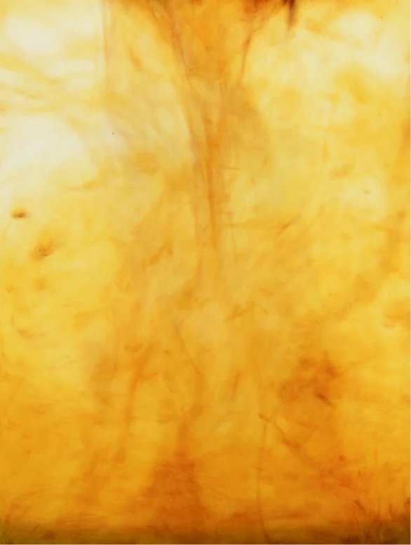 aW1hZ2U9L2dhbGxlcnktcGhvdG9zL2NNU1hXaFBpZ0N5SV9MNUptNnBDV3lZeGJaY3kyZjhfLmpwZyZ3aWR0aD01ODY= copy.jpg