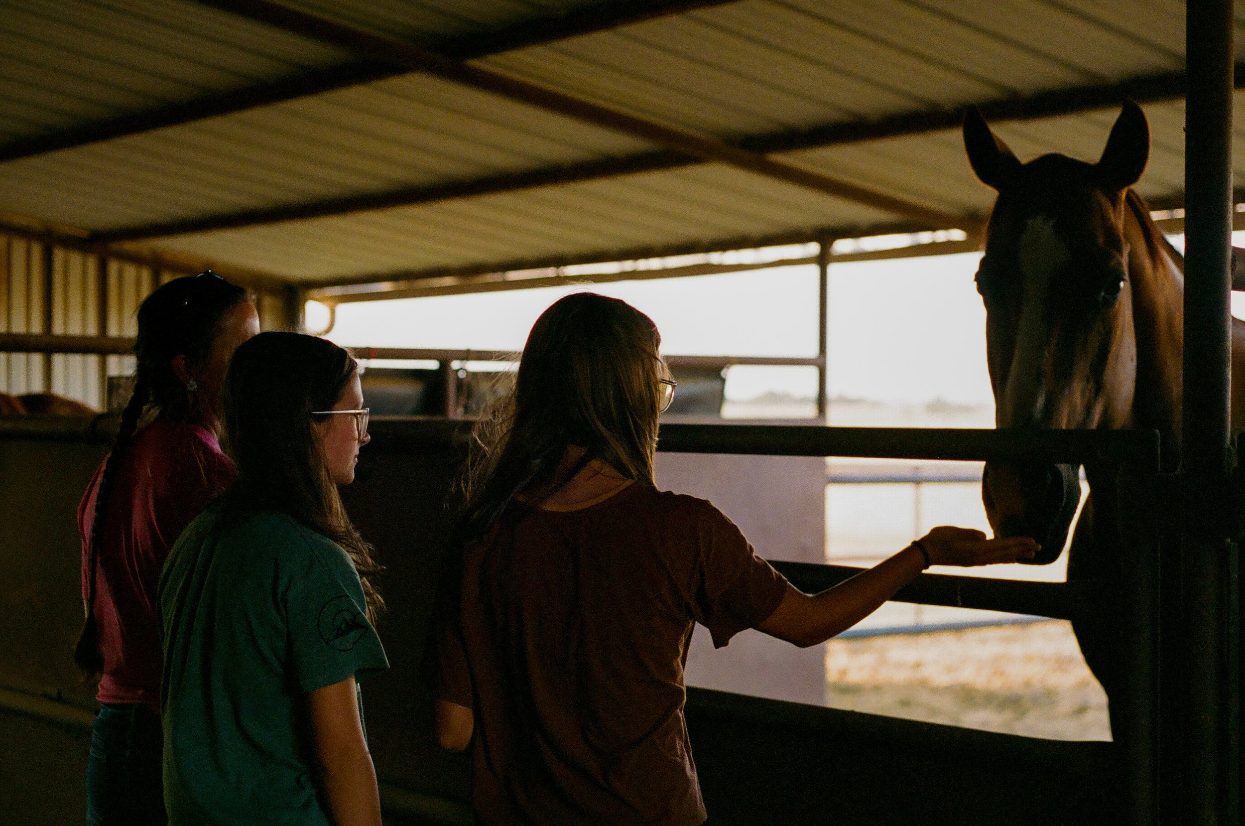 Texas - Canon T70 on Portra 400