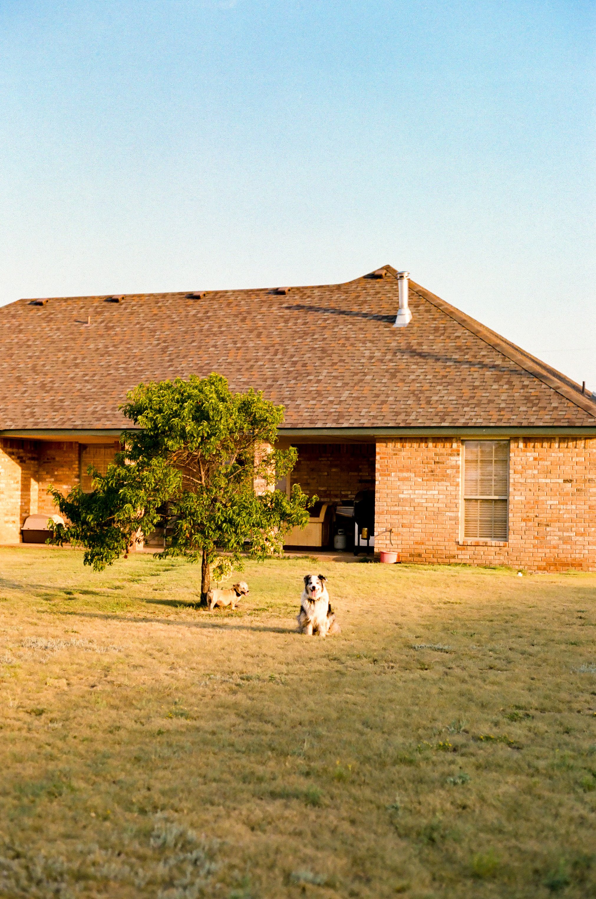 Texas - Canon T70 on Portra 400