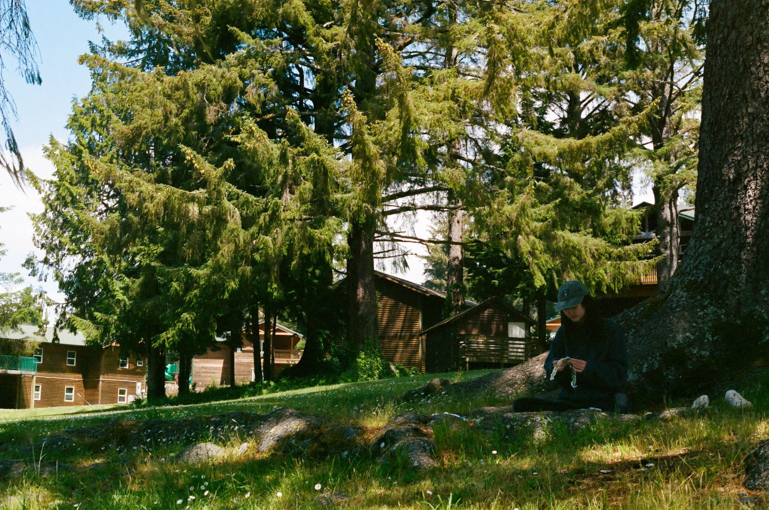 Oregon - Canon T70 on Portra 400