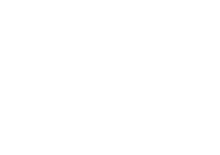 Black Fashion Fair