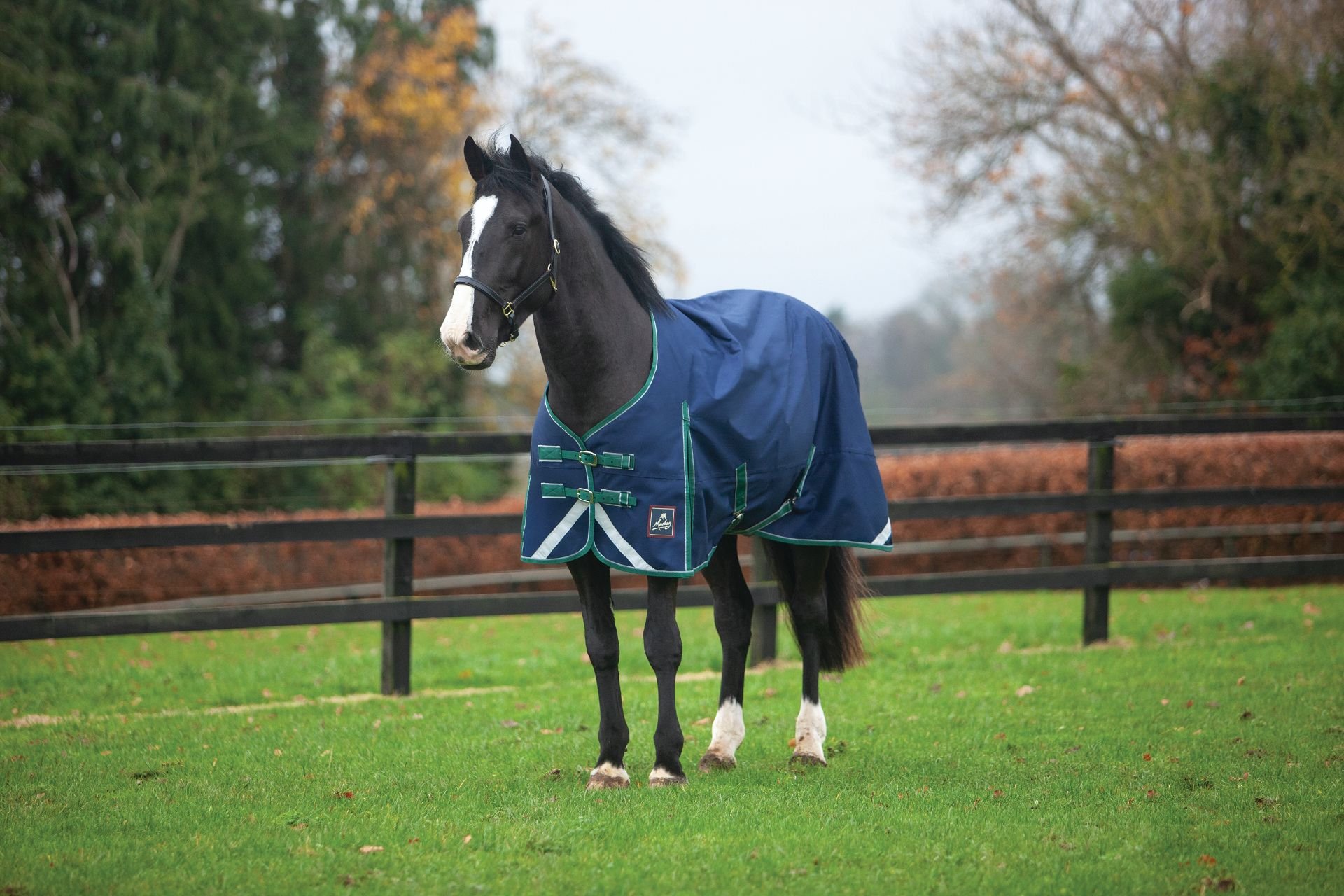 Mackey Keadeen Standard Lightweight Turnout Rug