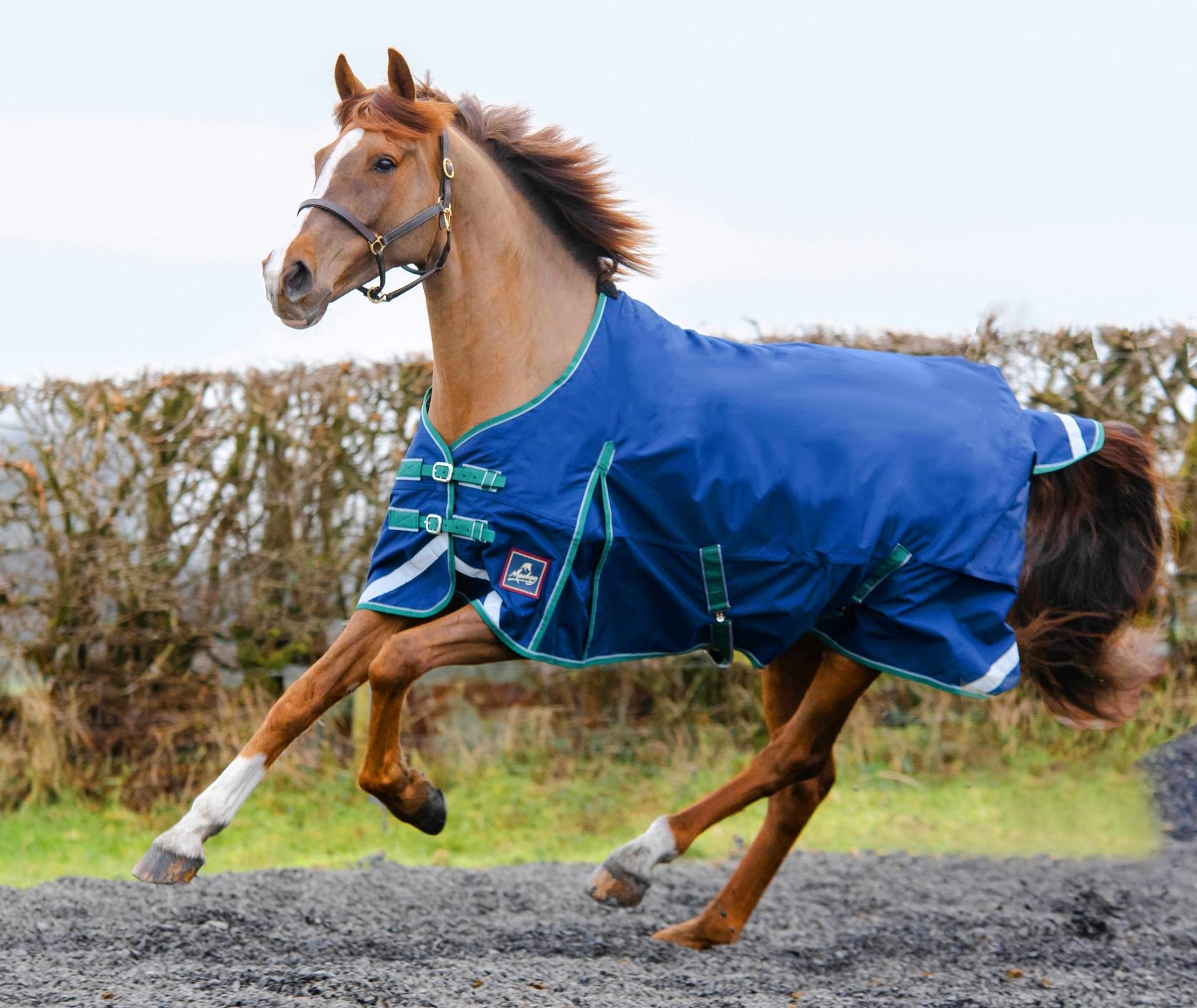 Mackey Keadeen Standard Lightweight Turnout Rug