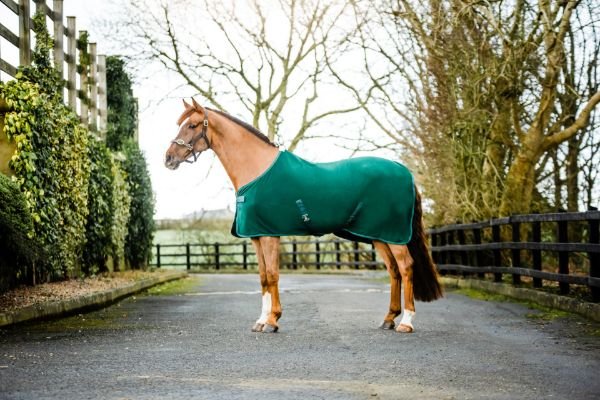 Equisential Fleece Cooler