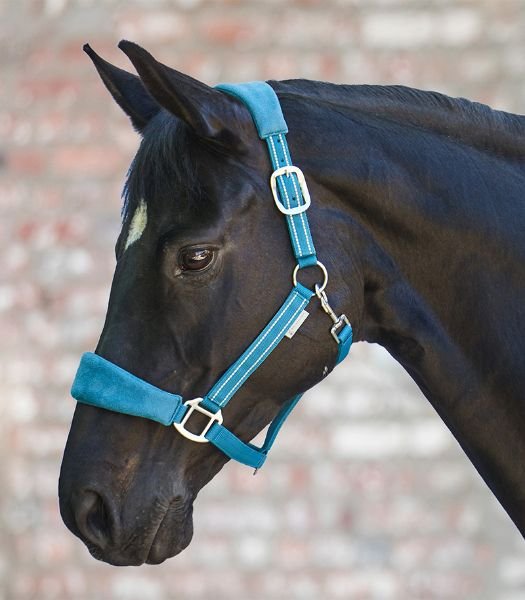 Waldhausen Alcantara Halter