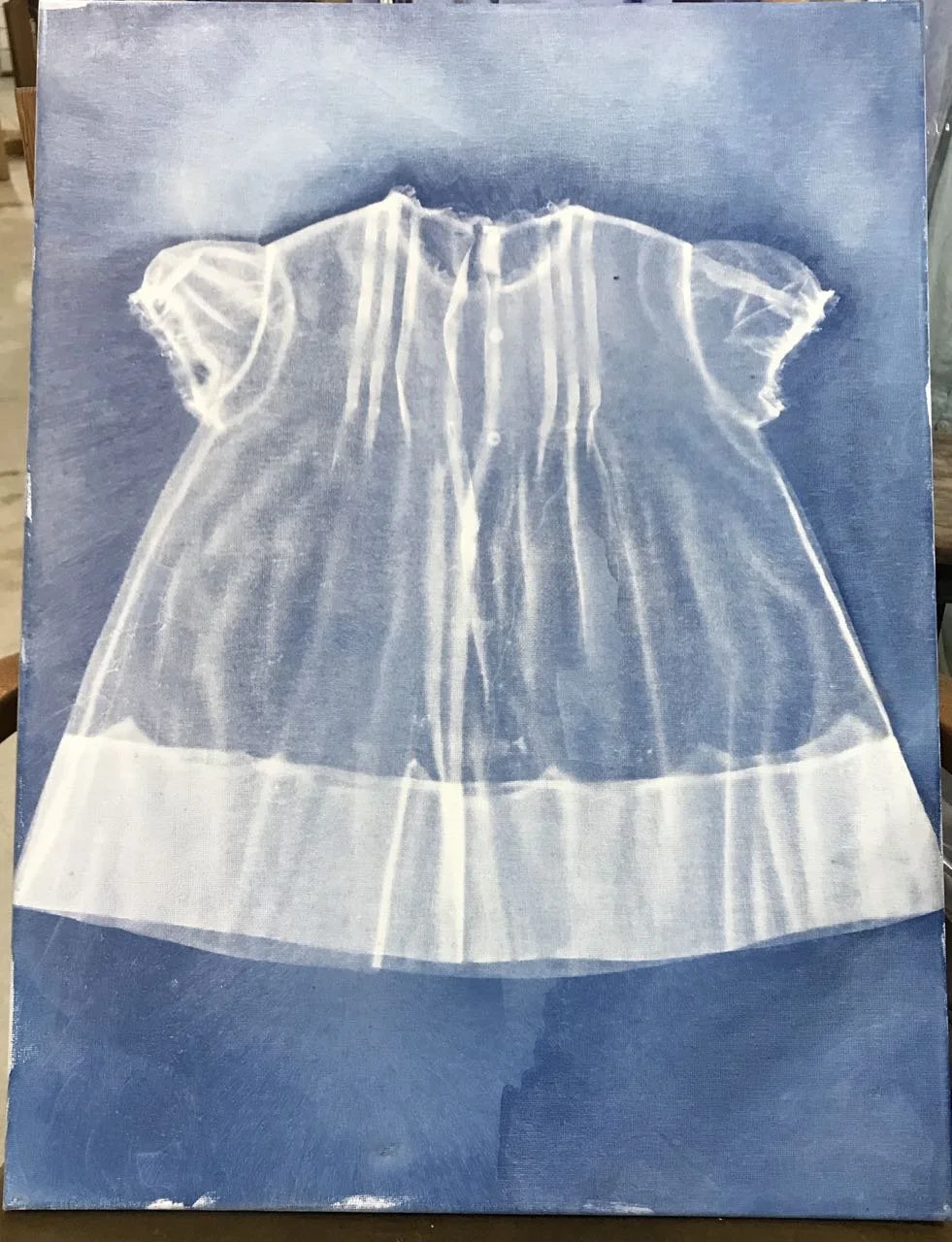 INHERITANCE CYANOTYPES