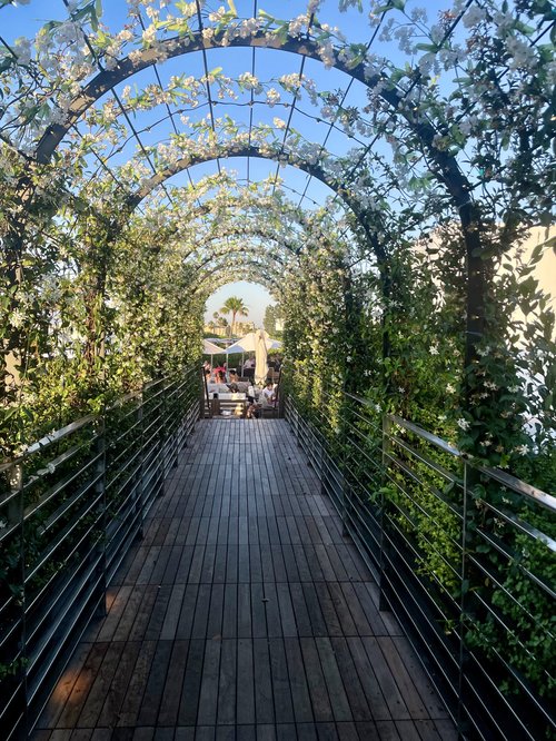Funke Rooftop Inside LA’s Hardest Restaurant Reservation: Funke — Nicole Simonek