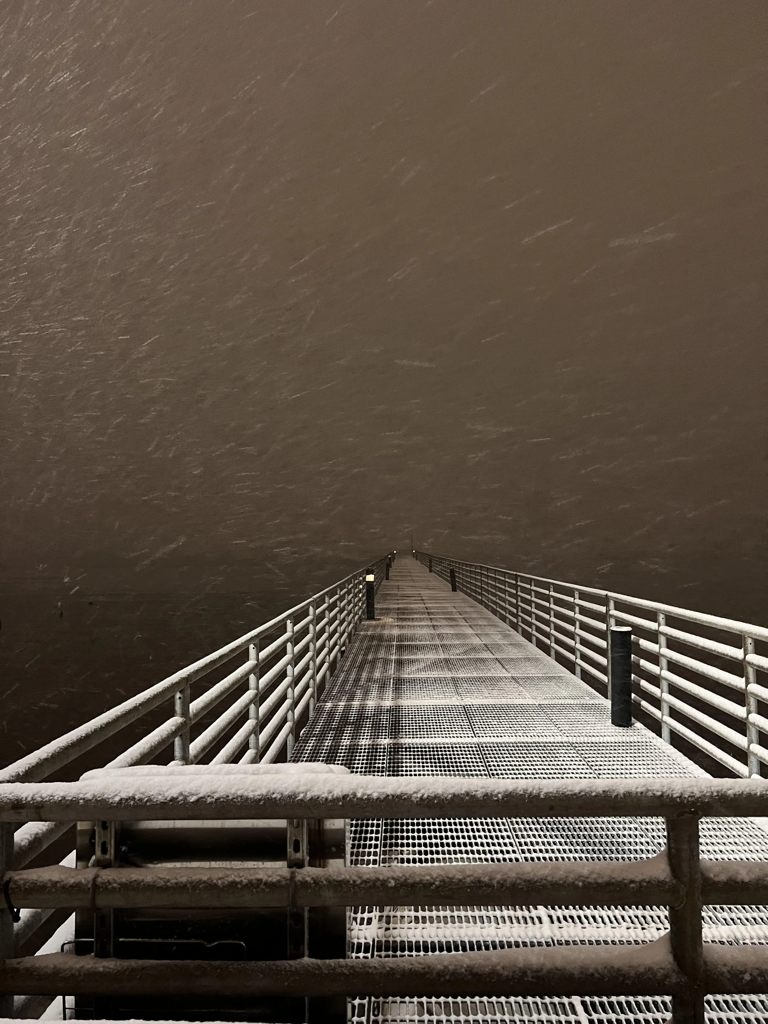 Winter.jpg