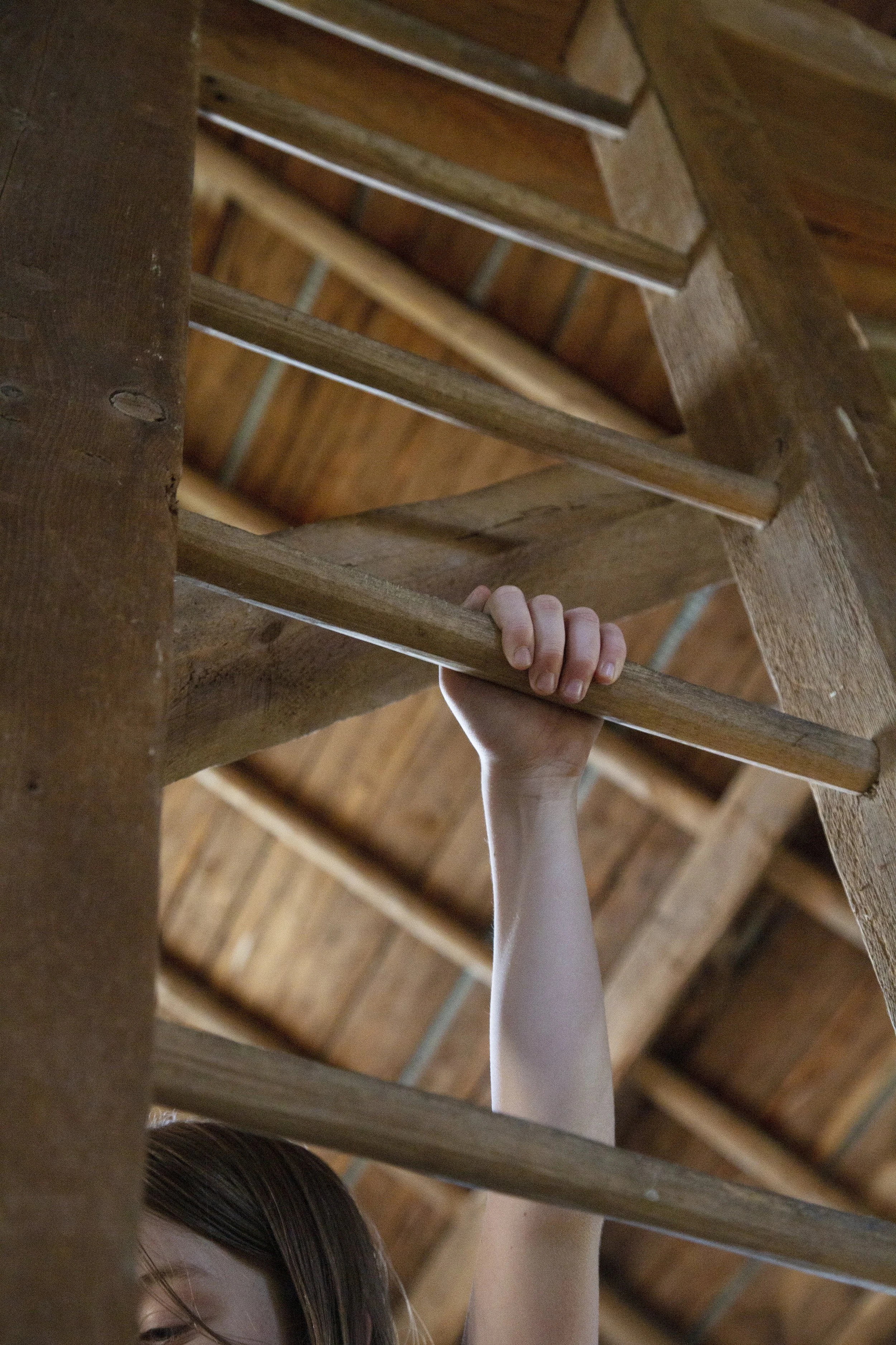 ladder_downsized.jpg