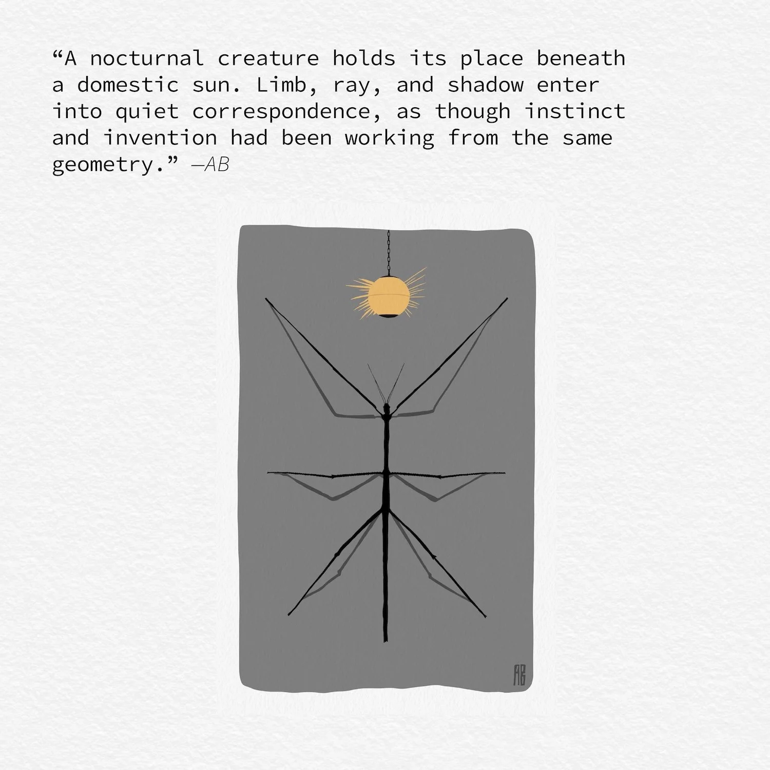 Domestic Sun Narrative Blurb.jpg