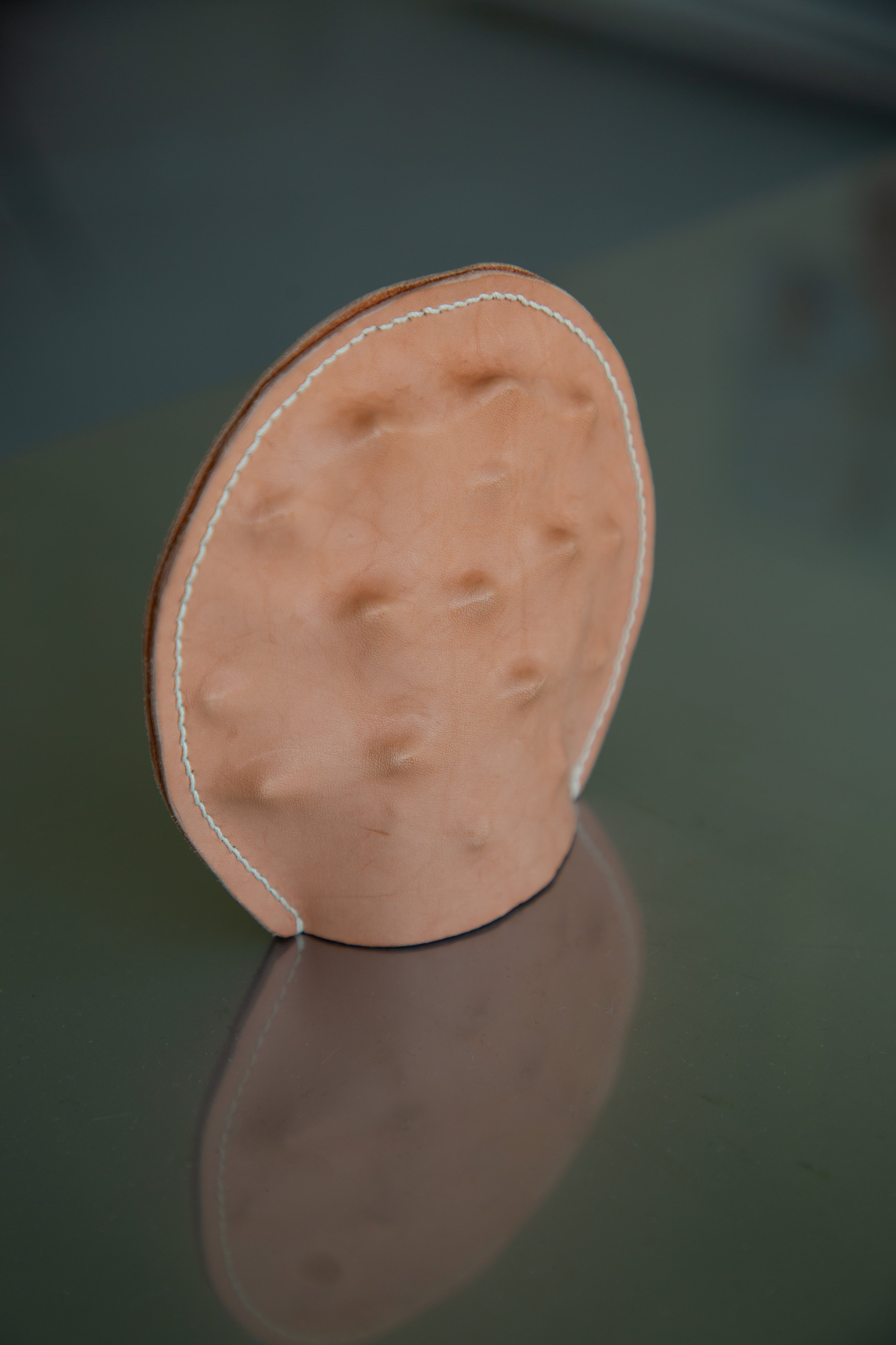 close up of curry comb one.jpg