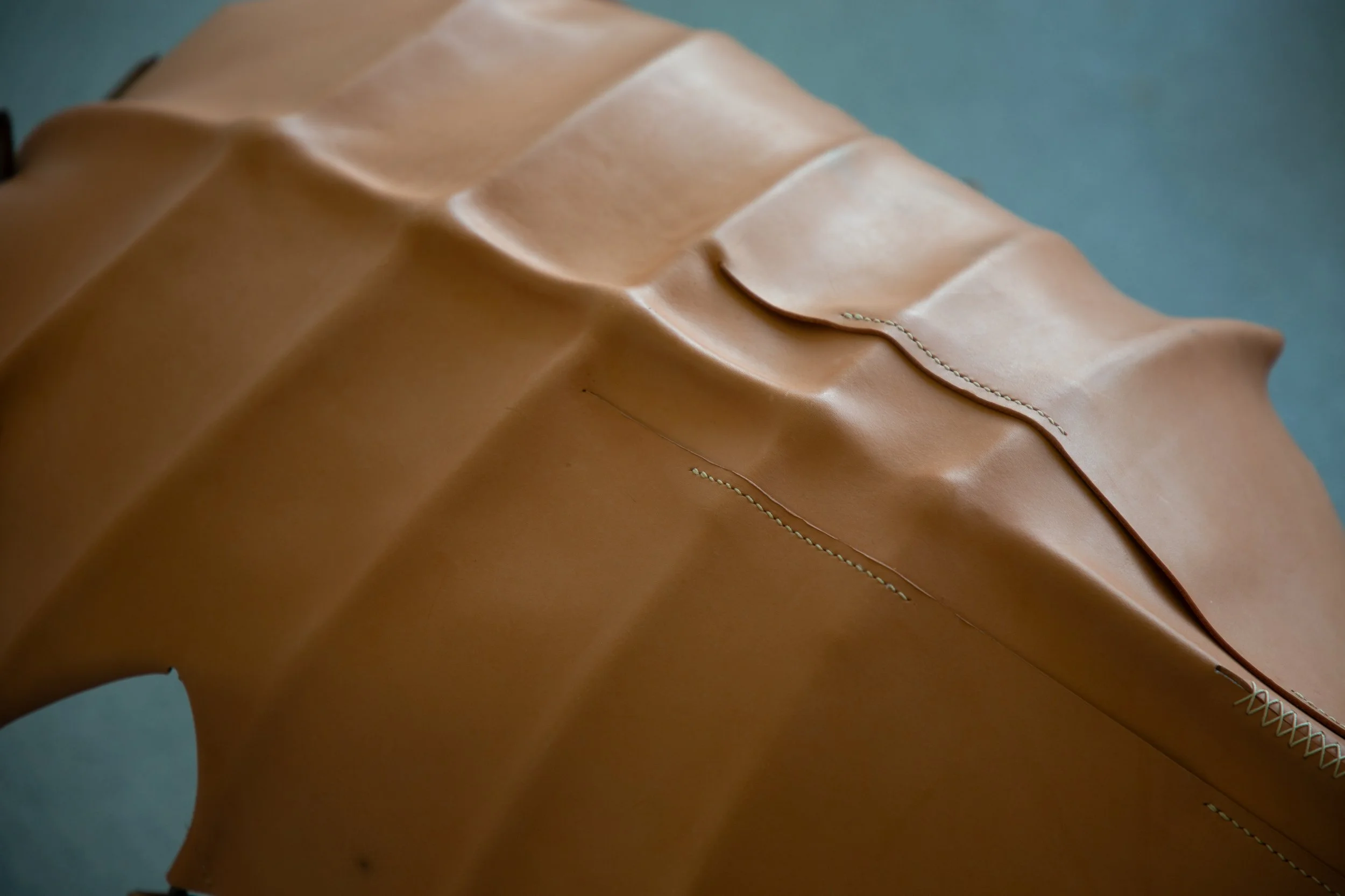 close up of spine.jpg