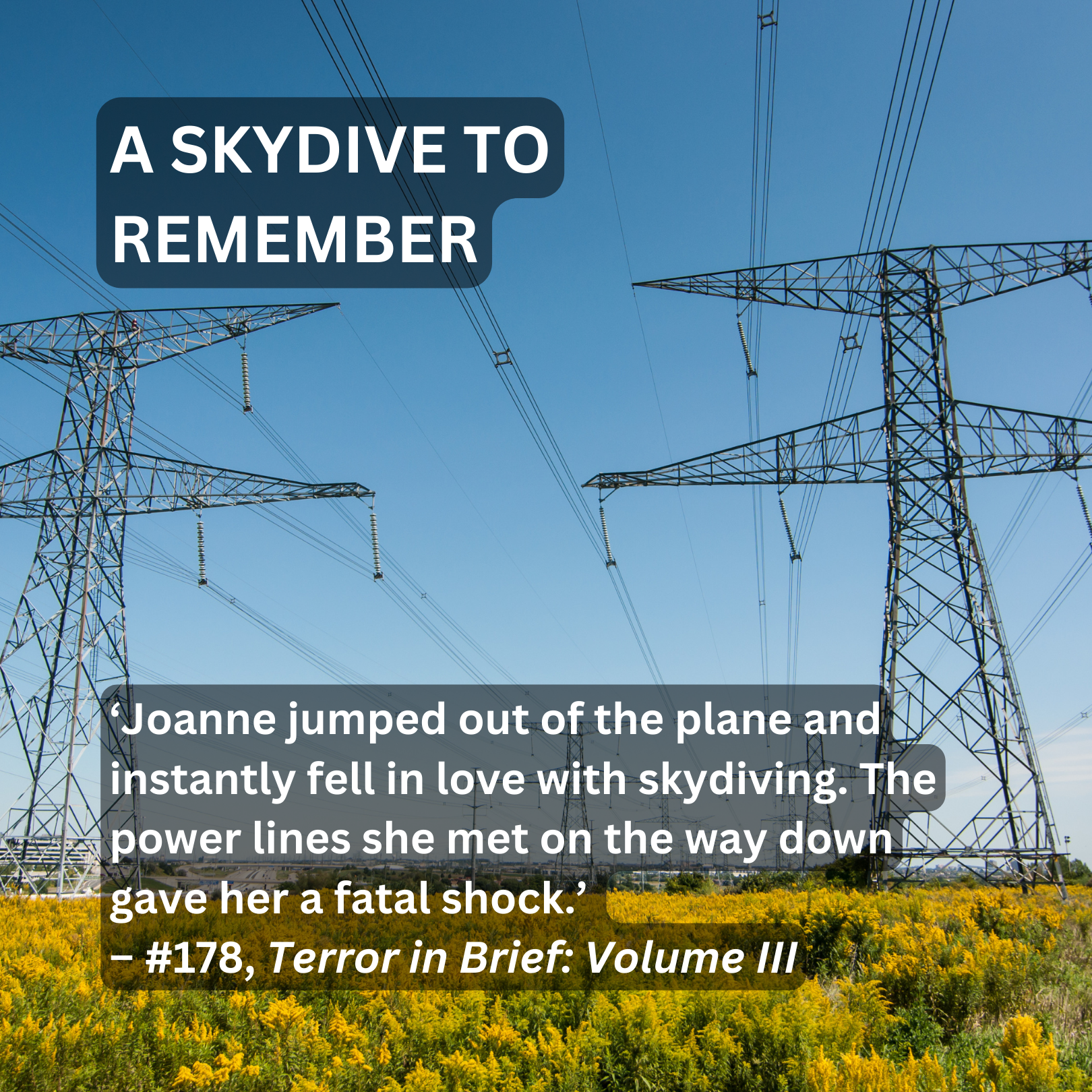 A Skydive to Remember from Terror in Brief: Volume III