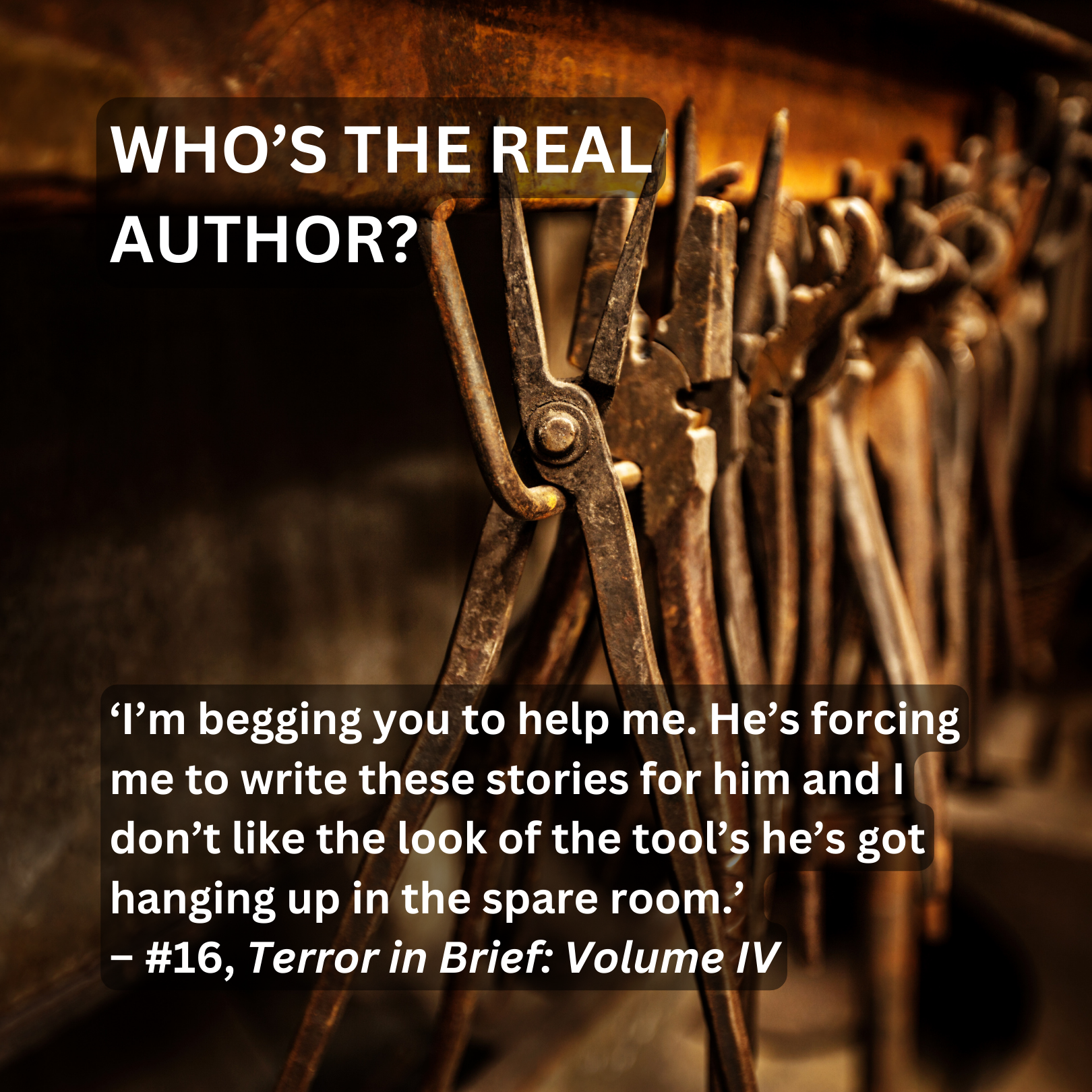 Who's the Real Author? from Terror in Brief: Volume IV