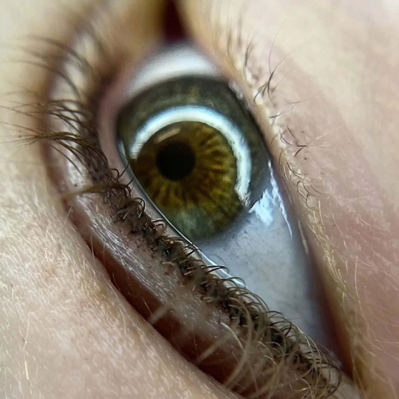Close-up of a human eye showing a brown iris, detailed eyelashes, and surrounding skin.