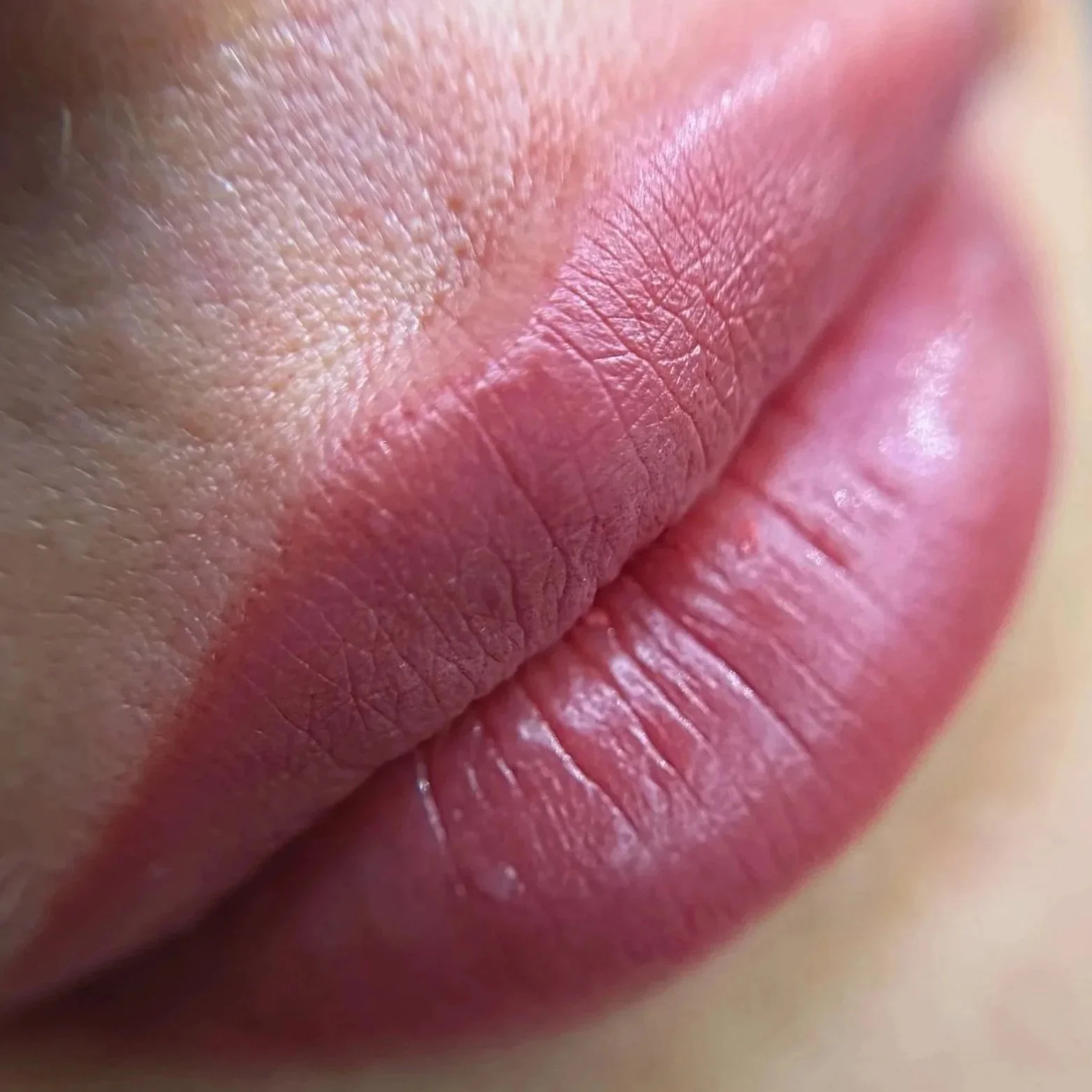 Close-up of lip blush with pink permanent makeup pigment