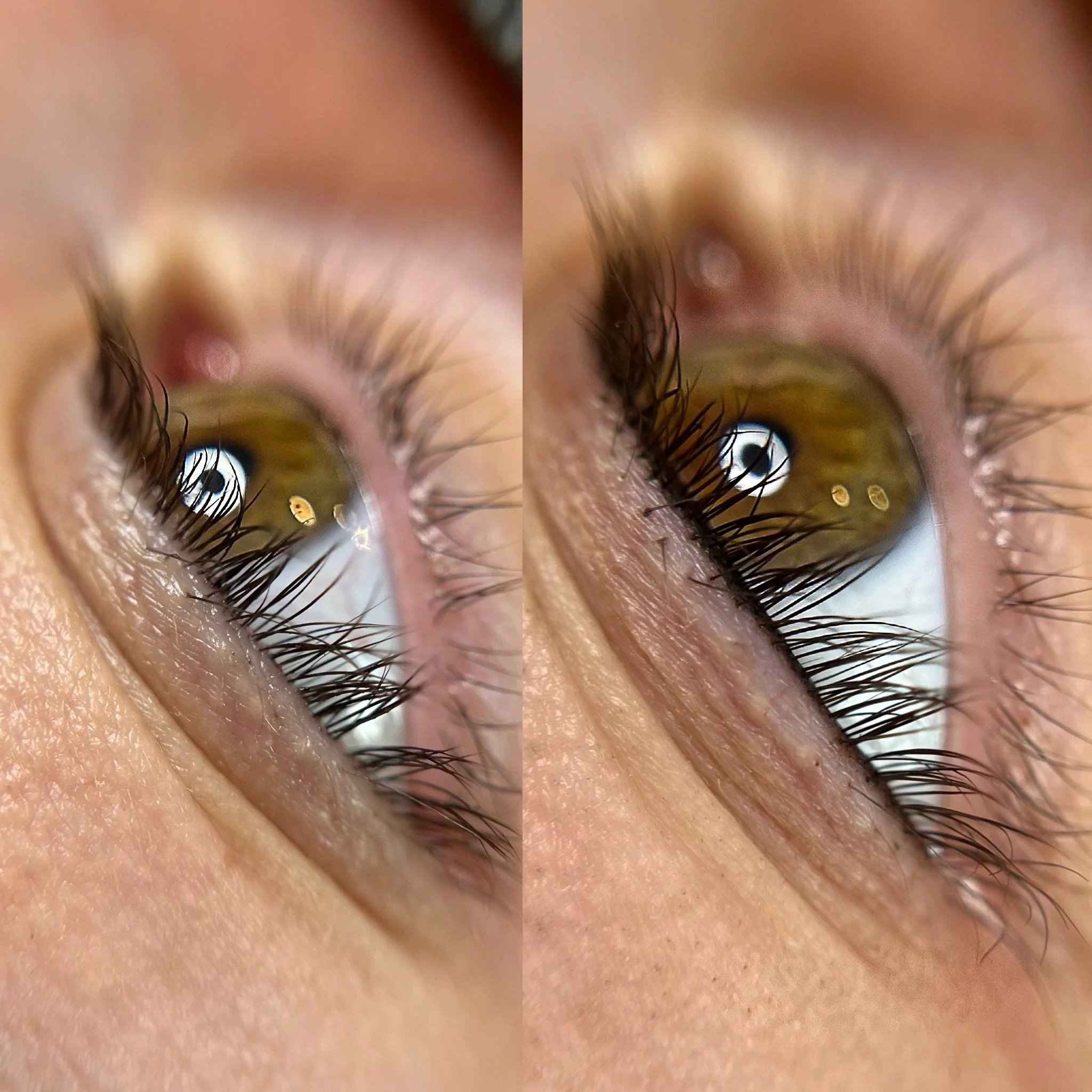 Close-up of a human eye showing the iris and eyelashes. A very thin line is tattooed across the eyelashes to give the impression of fuller lashes. This procedure is called a lash line enhancement tattoo. 