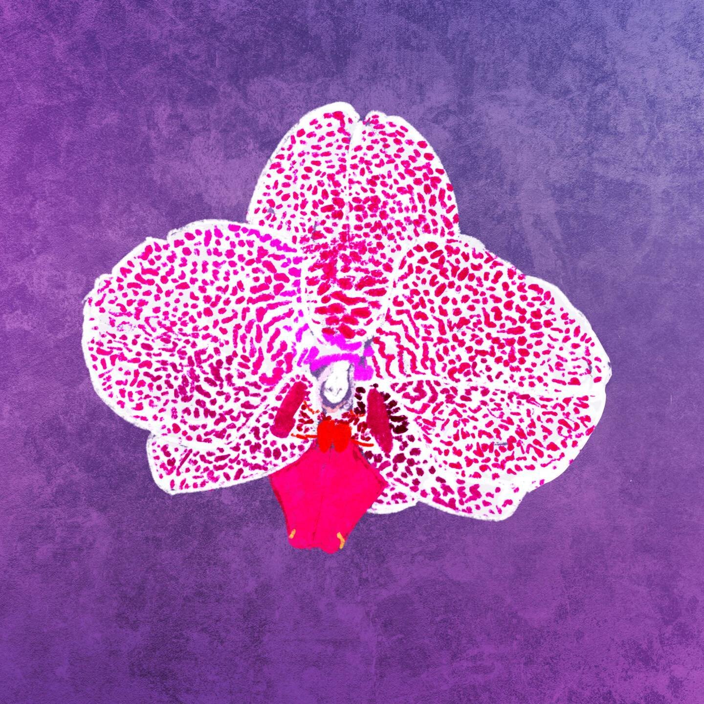 Orchid :)

73/100 #100DaysInMyStudioJG