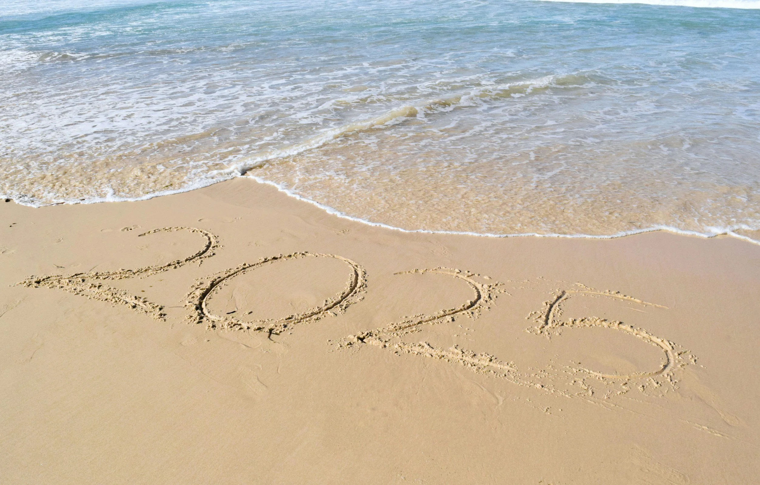 ✨ 2025 Highlights &amp; What’s Next in 2026