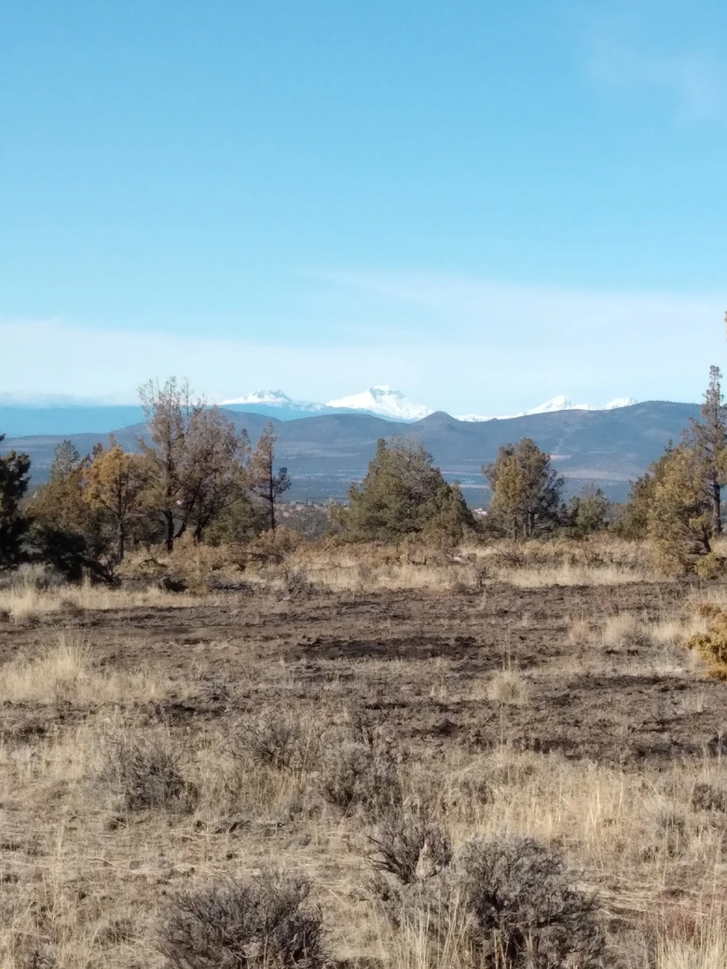 Volunteer — Flat Rock Road District