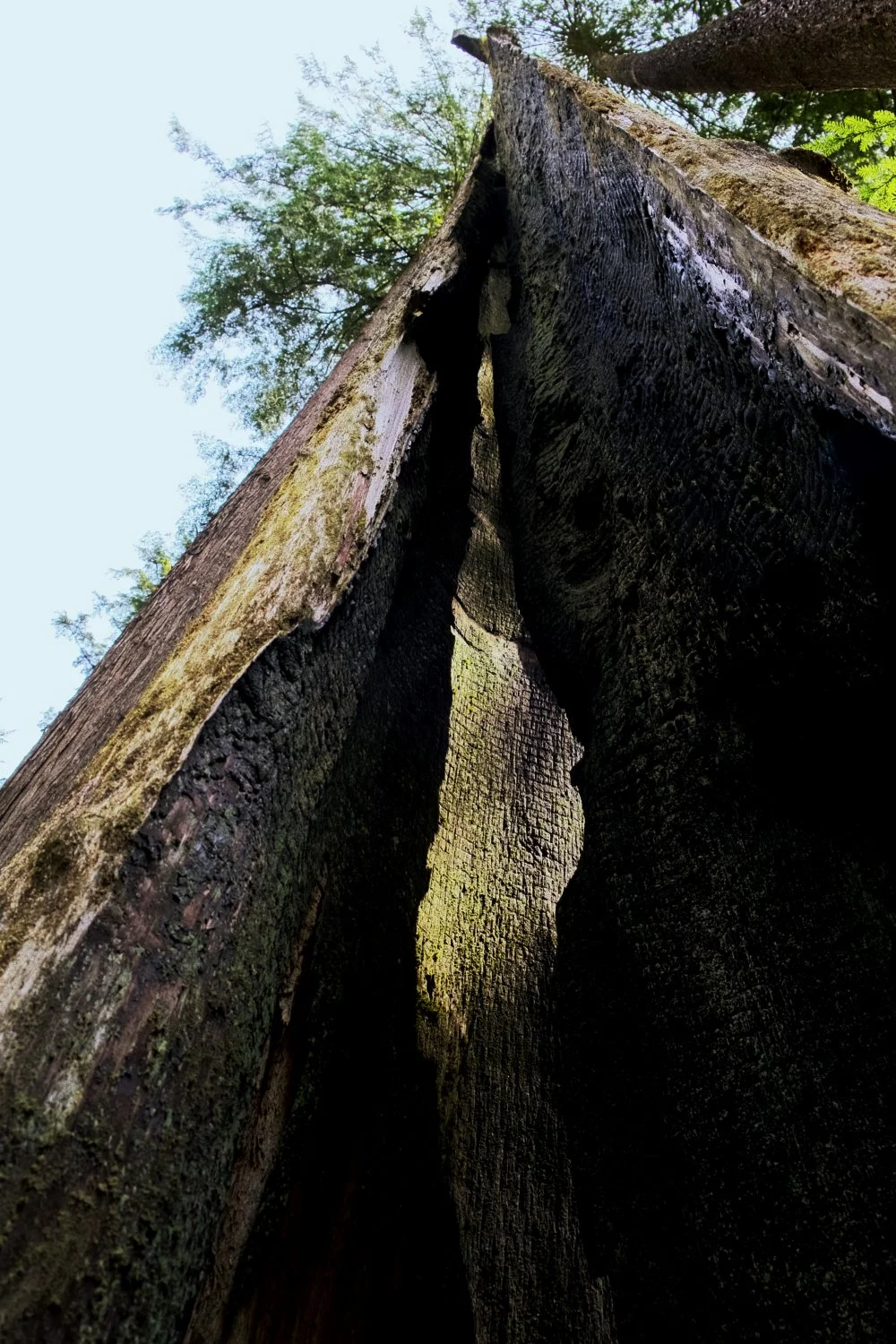 DSCF8395.jpg