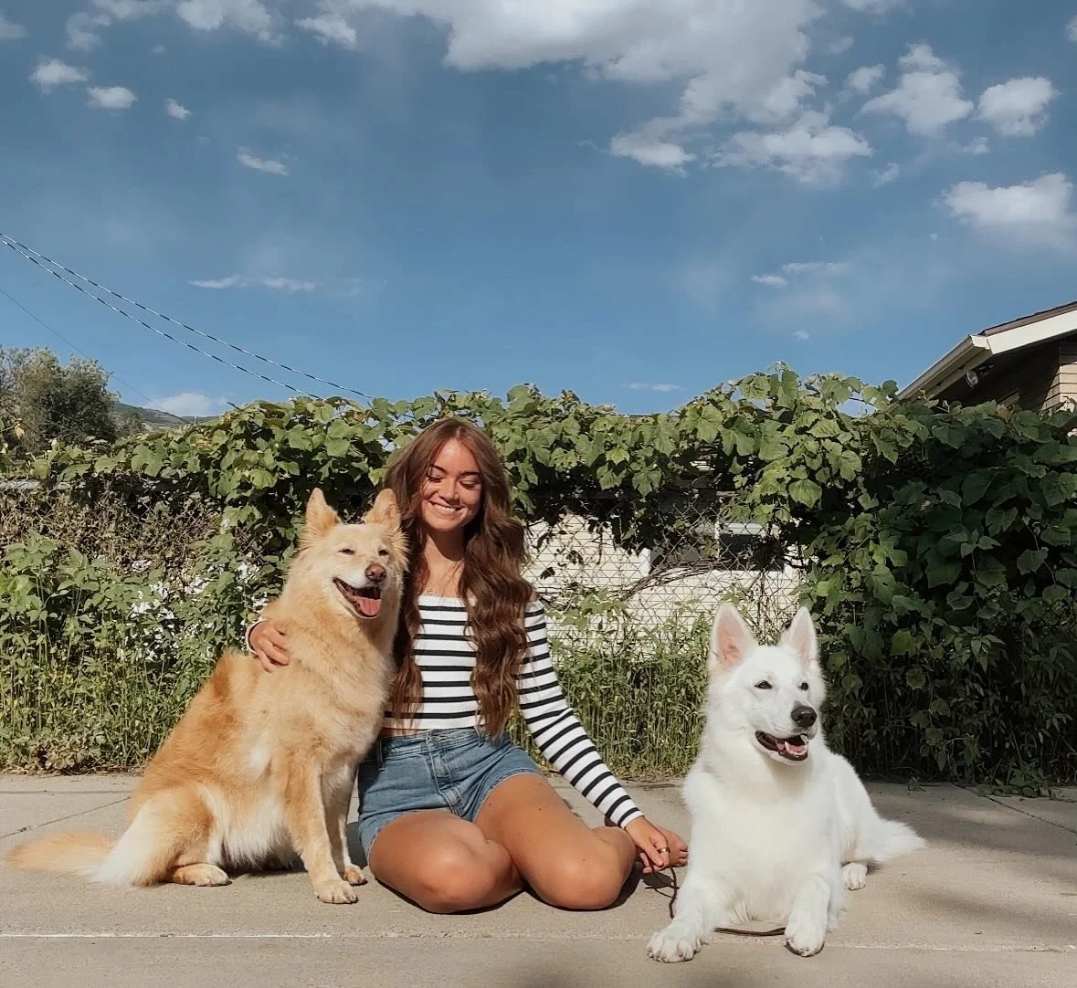 These girls are my whole life. How lucky am I to have two soul dogs 🥹
.
.
.
.
#topdogphoto #dogsofinstagram #dogoftheday #whiteswissshepherd #bergerblancsuisse #backcountrypaws #dailybarker #weeklyfluff #pawcelebrity #thestatelyhound #adventuredogso