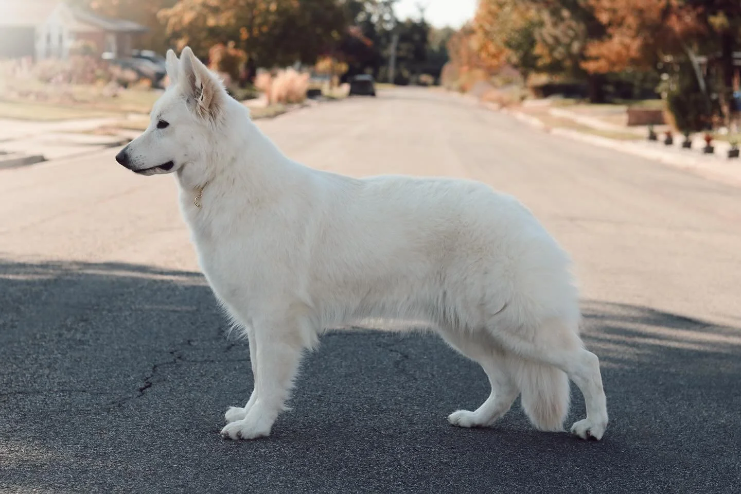 My favorite quote of all time comes from Plato (often accredited but possibly said by someone else) &ldquo;Be kind, for everyone you meet is fighting a hard battle.&rdquo; It resonates so deeply with me because not many know how incredibly powerful a