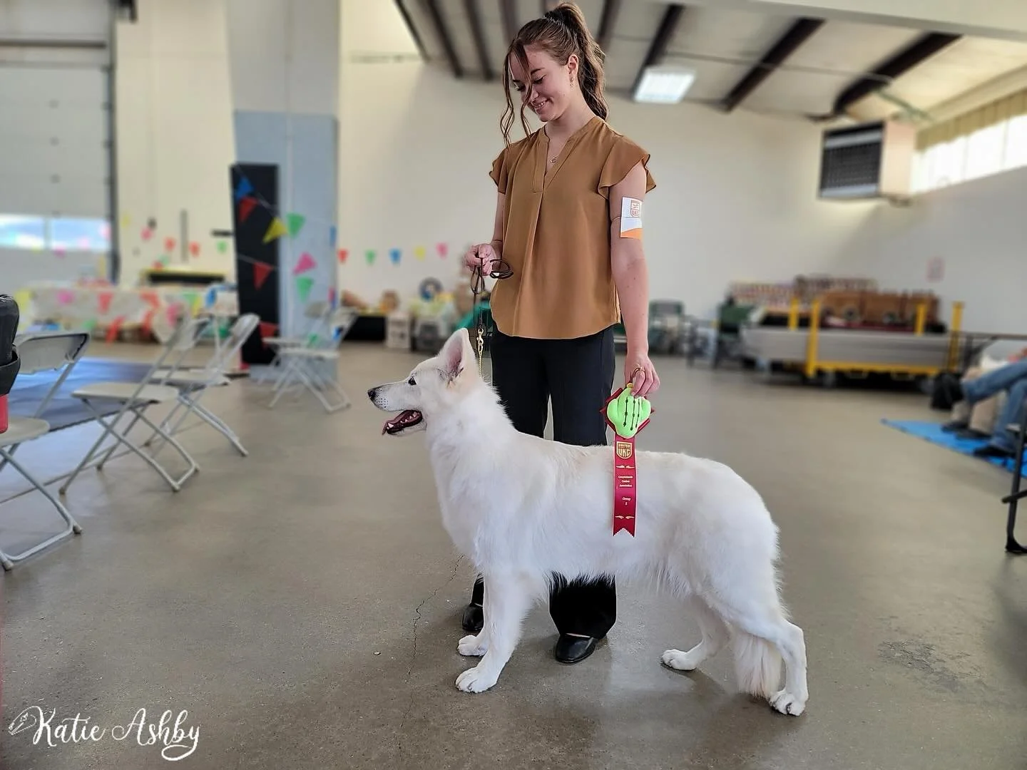 Okay so I&rsquo;m an idiot. I miscounted Margaux&rsquo;s points so I guess now is a good time to announce&hellip;&hellip;..

🔸IntCH U-CH Walida U Źr&oacute;dła CGC CGA CGCU🔸

Our sweet Margaux is a UKC CHAMPION!!! Woohoo!!! 🎉 

Special thank you t