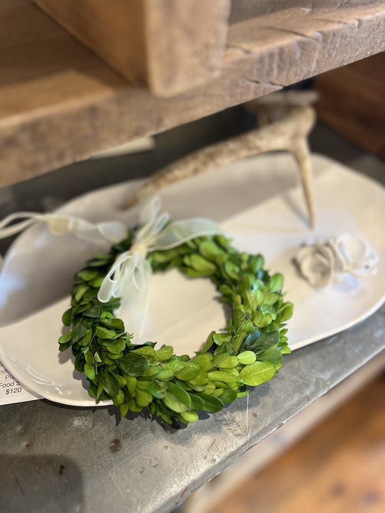 Preserved Boxwood Mini Wreath 6" - $27