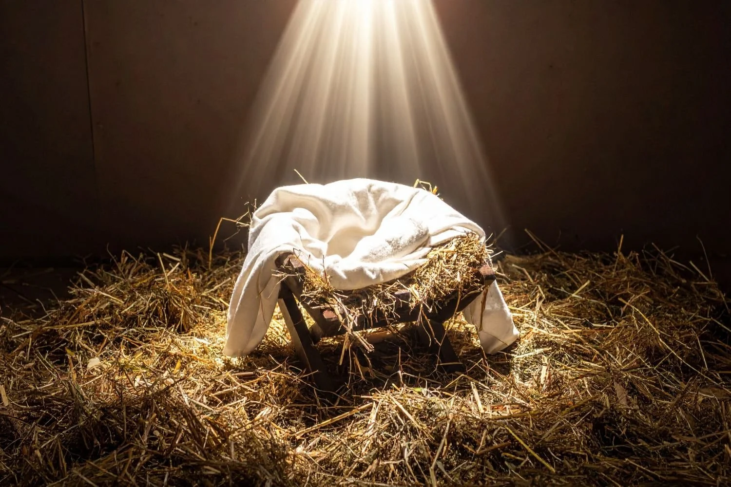 In Him was Life