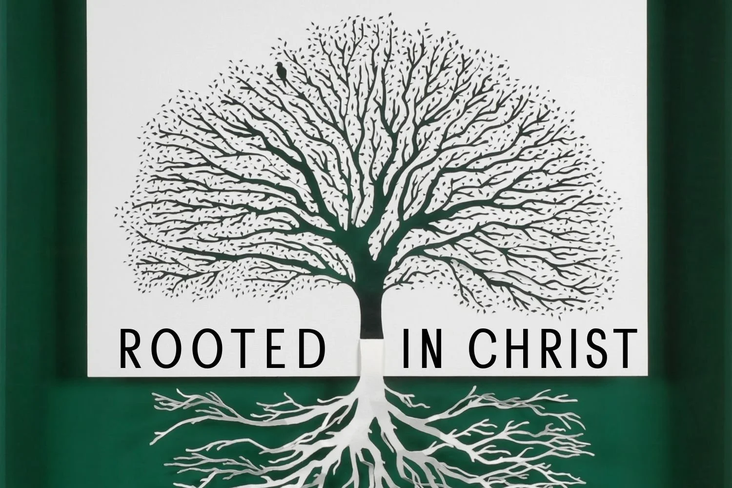 Rooted in Christ Meaning
