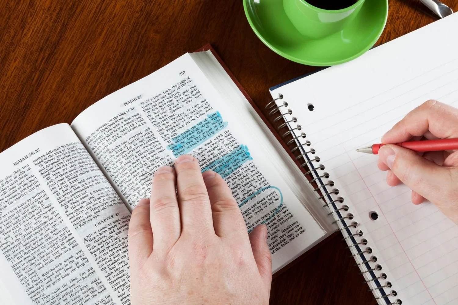 how to study the bible