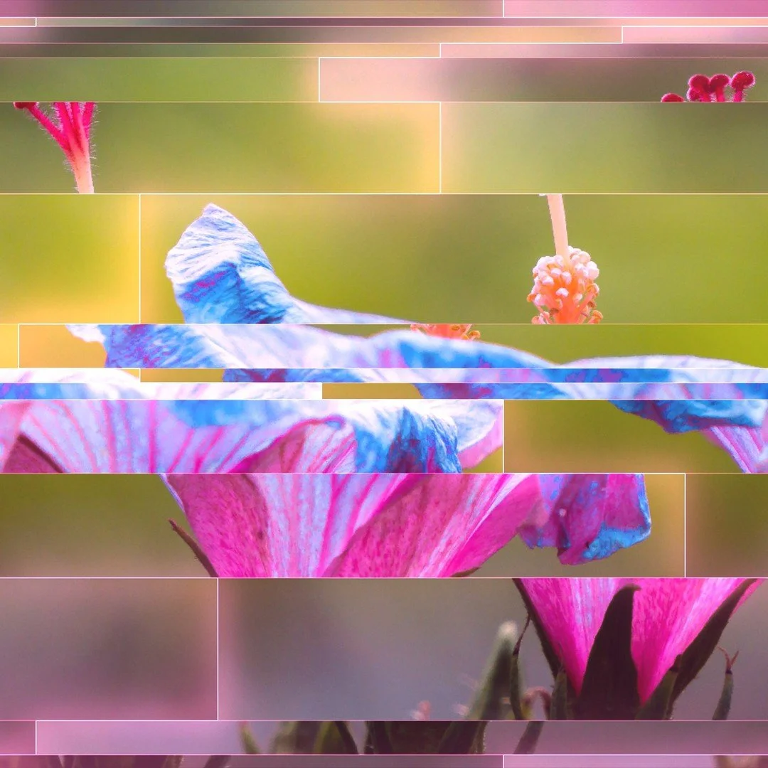 Flower Glitches

Digital Image Glitches

#digitalart #art #generativeart #creativecoding #textureslicing