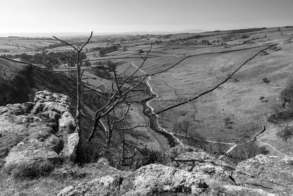 _27A3631-Edit.jpg