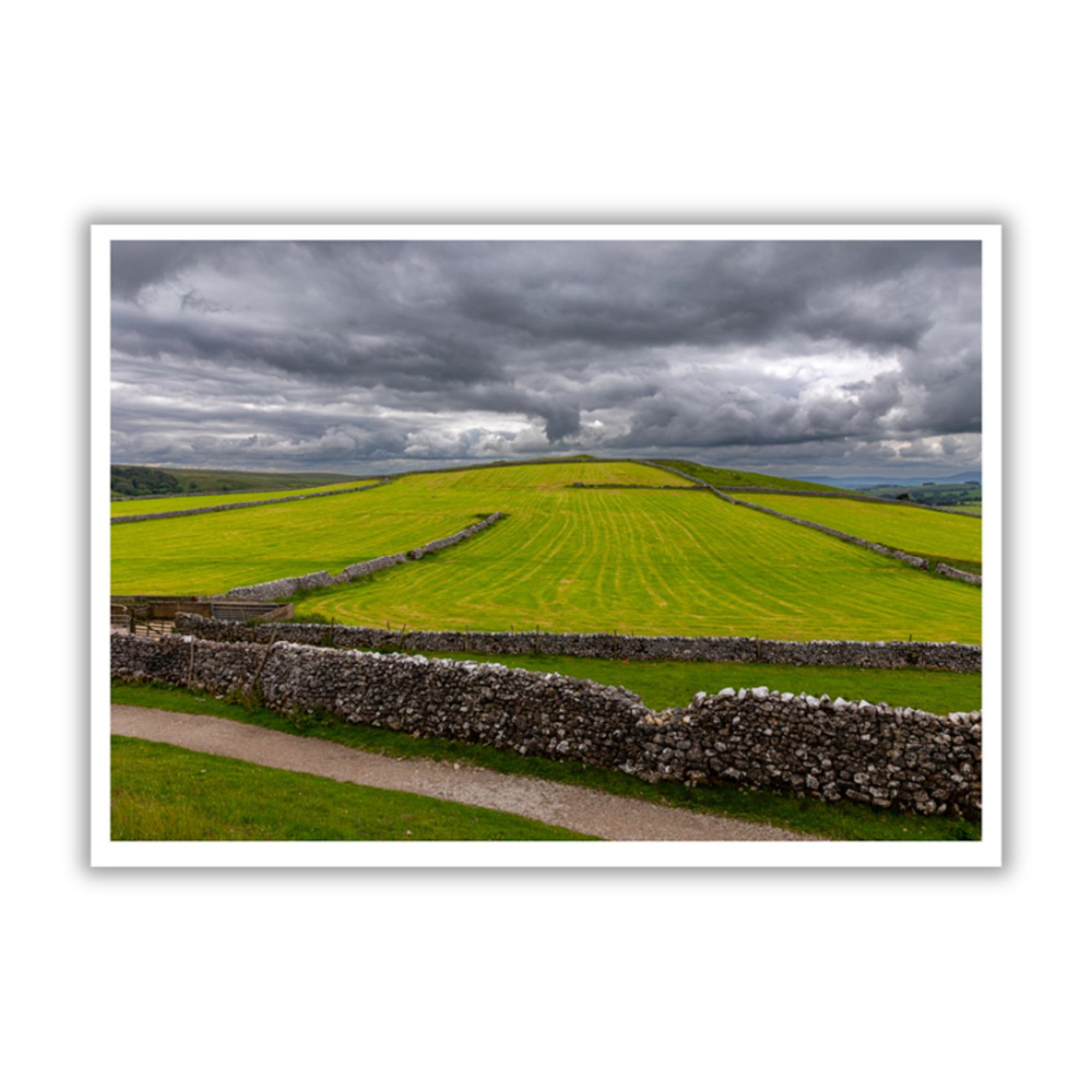 The Field