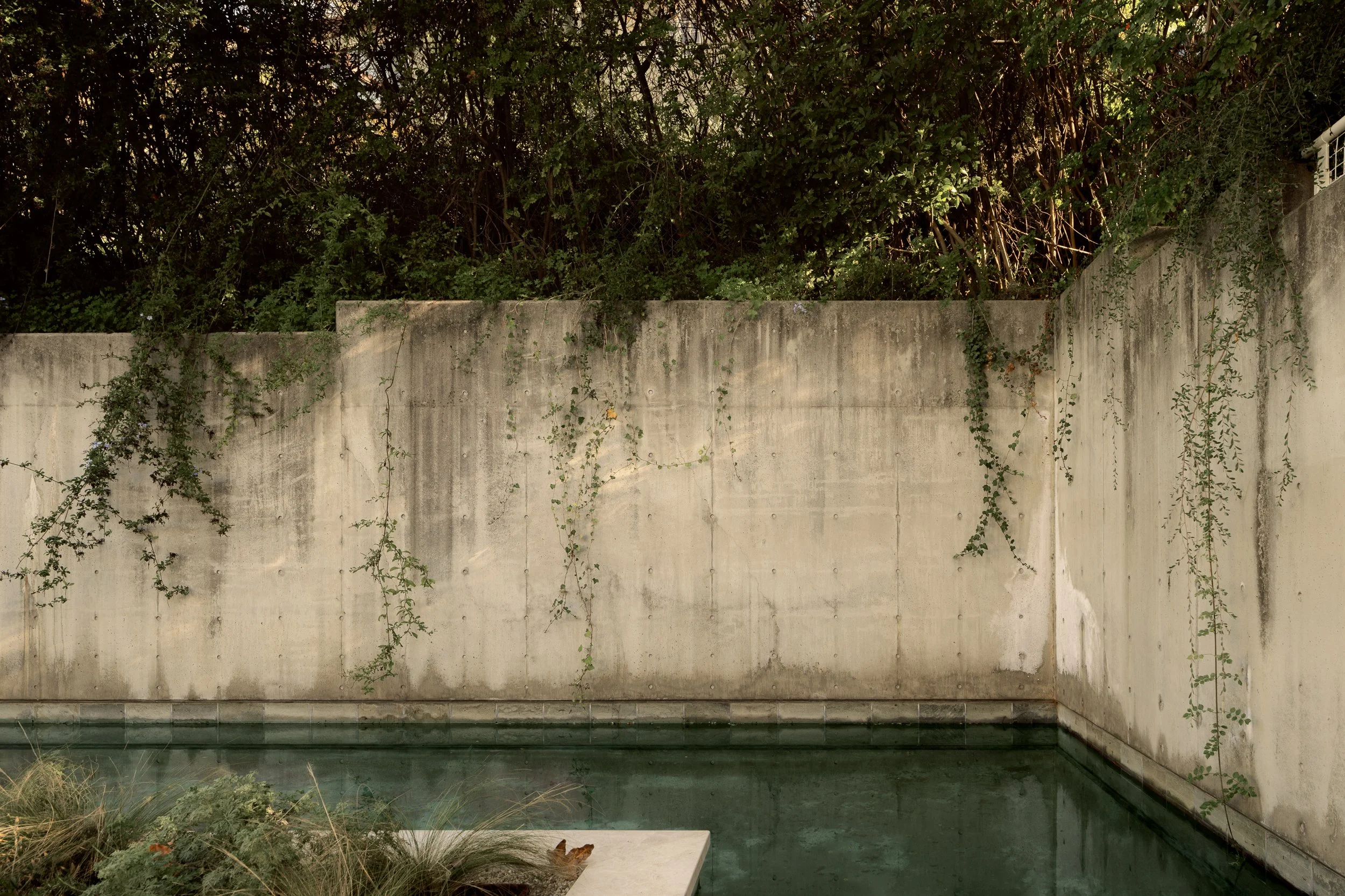 4070 Benedict Canyon Blvd - ©evanramzi - Web-12.jpg