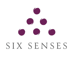 Six purple circles arranged in a triangle above the words 'SIX SENSES' on a black background.