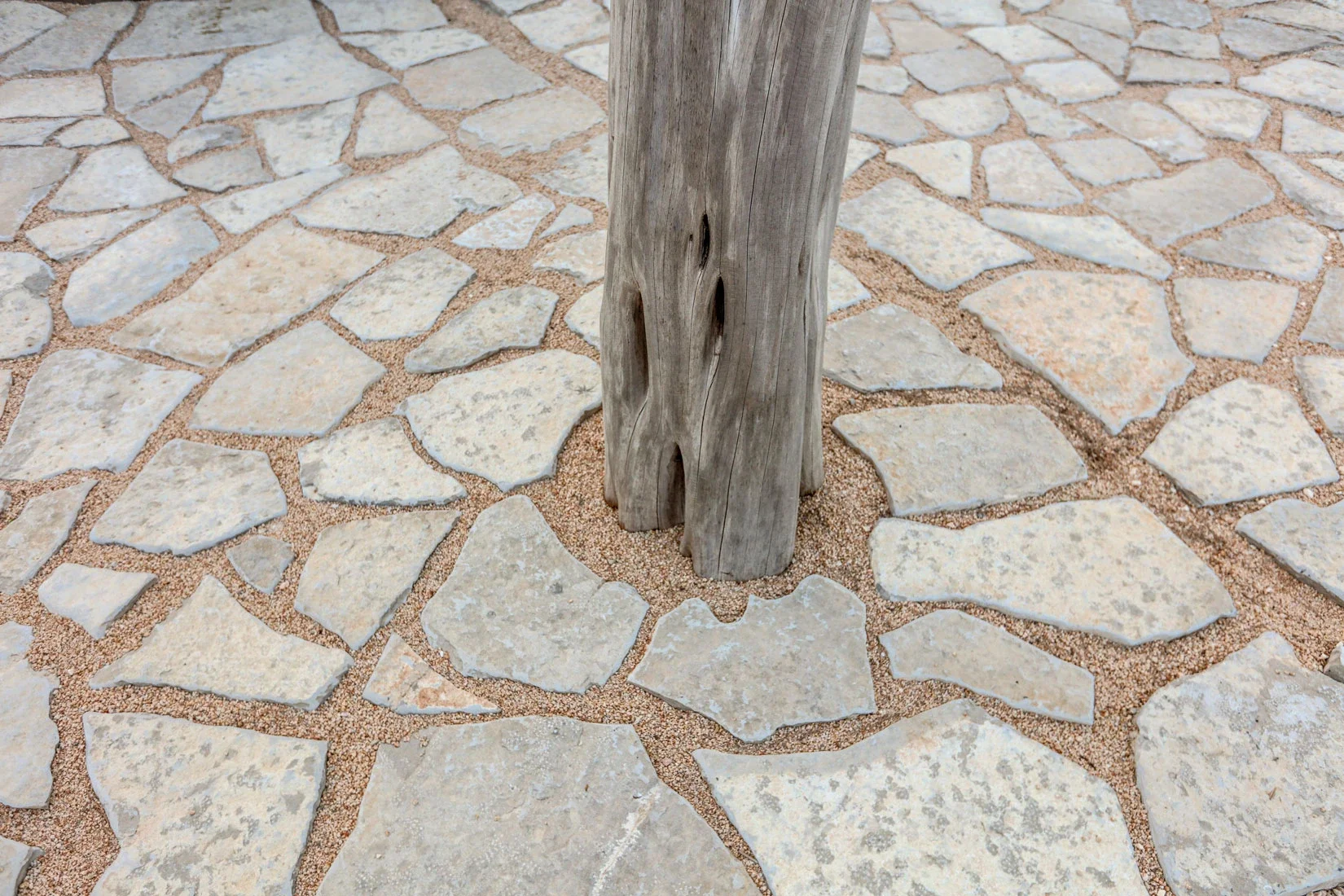 2C8A2468web.WEBP
