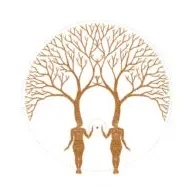 Two people holding hands walking under a large, leafless tree