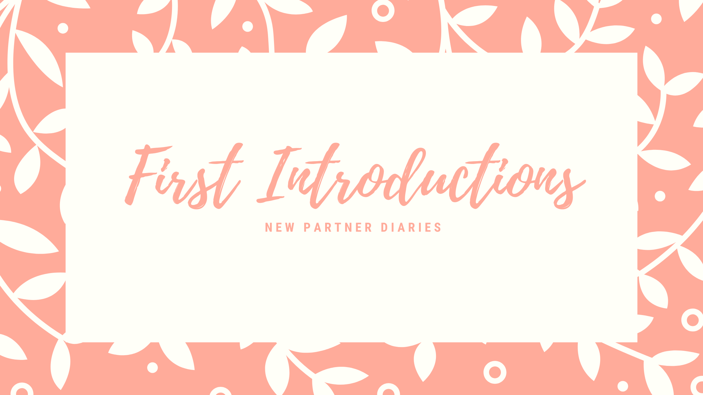 First Introductions | The New Partner Diaries