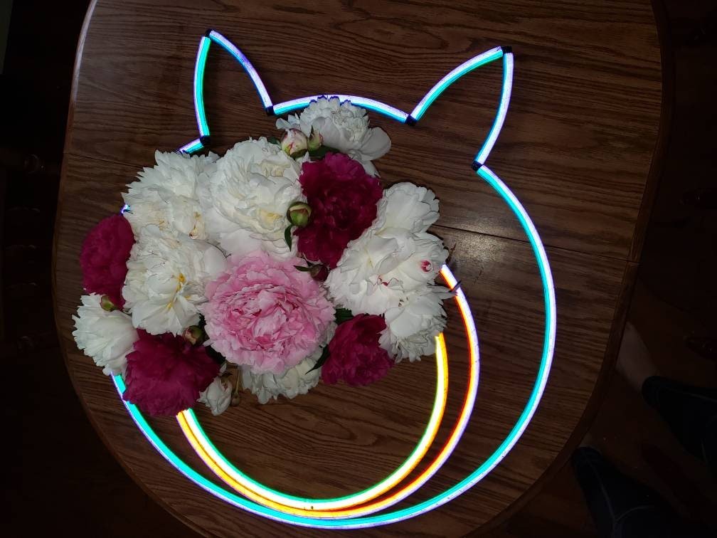 https://i.etsystatic.com/9406173/r/il/801444/2433810889/il_fullxfull.2433810889_7wmi.jpg