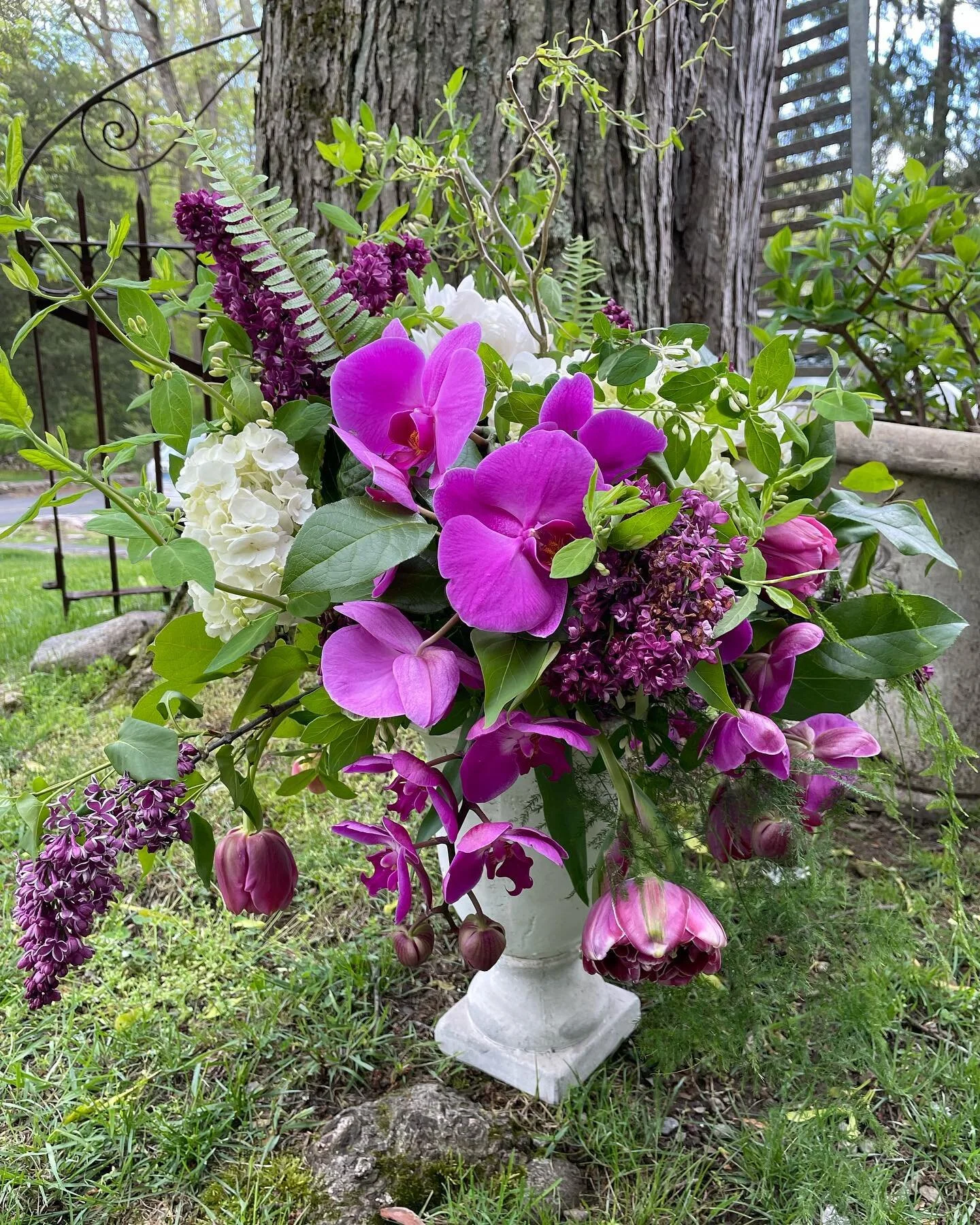 We were inspired by these fuchsia orchid blooms and combined them with fresh locally grown lilac for this donated arrangement to our friends at @wavenyparkconservancy