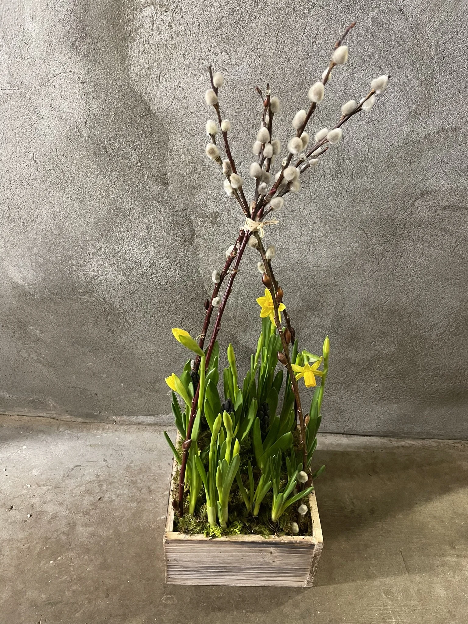 Spring Bulb Design