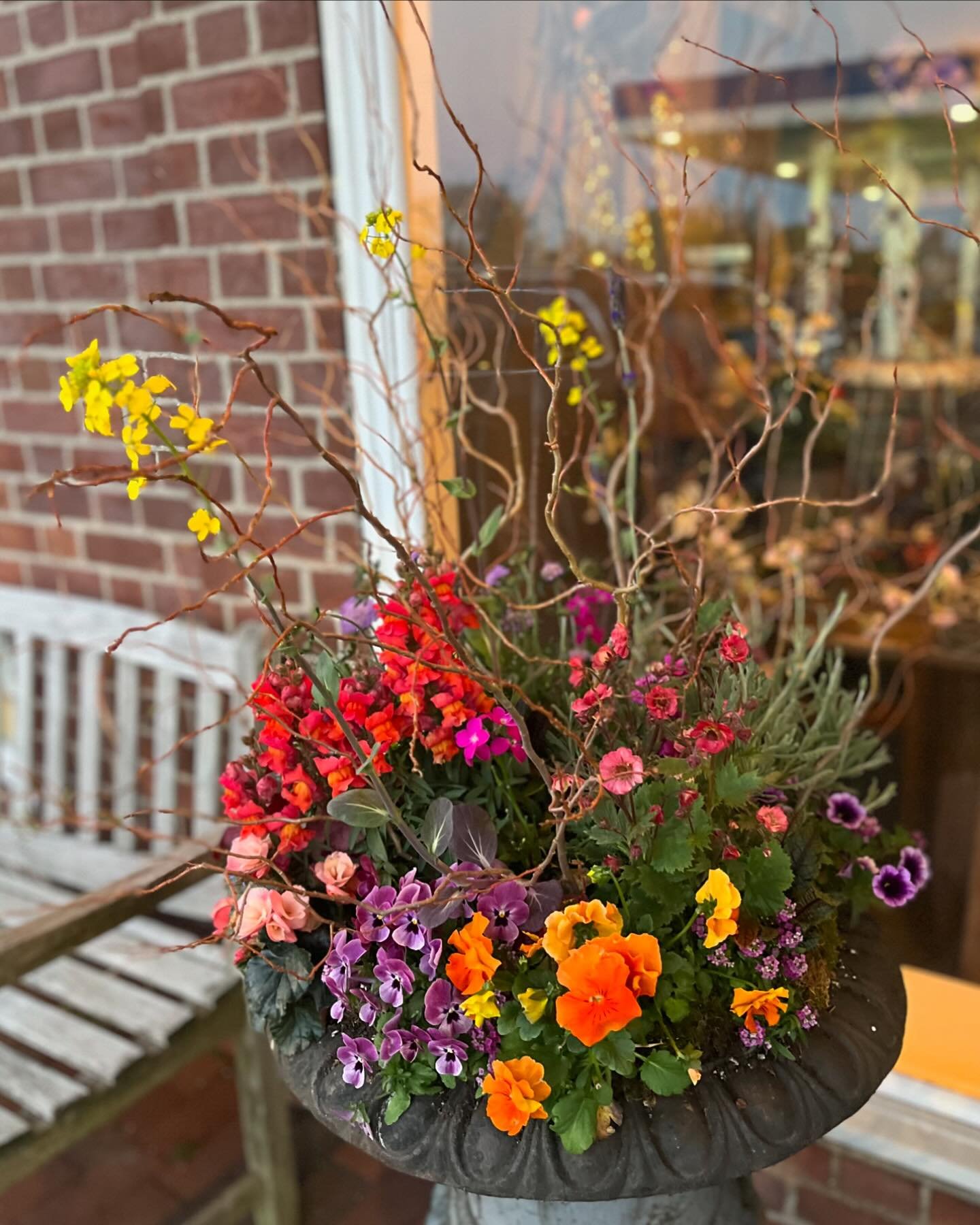Summer is on the horizon and we are loving our newly updated urns outside the shop ☺️ brightly colored pansies, petunias, geum, snapdragons, and a burgundy Pal Choi even decided to show off an unexpected yellow bloom. 
 
If your Spring pots are feeli